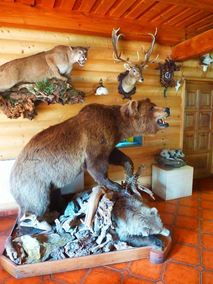Pension Grizzly