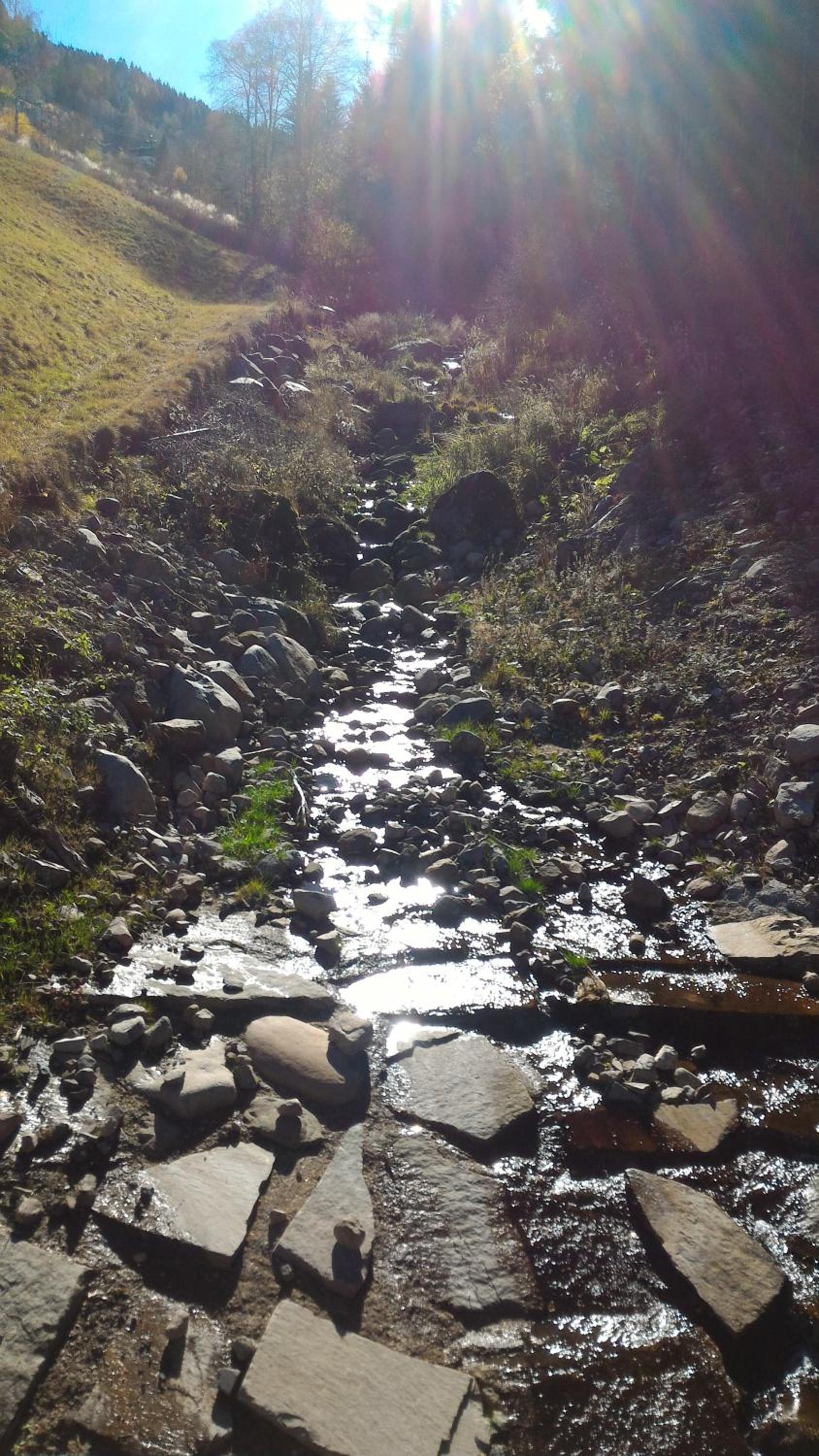 Photo 48