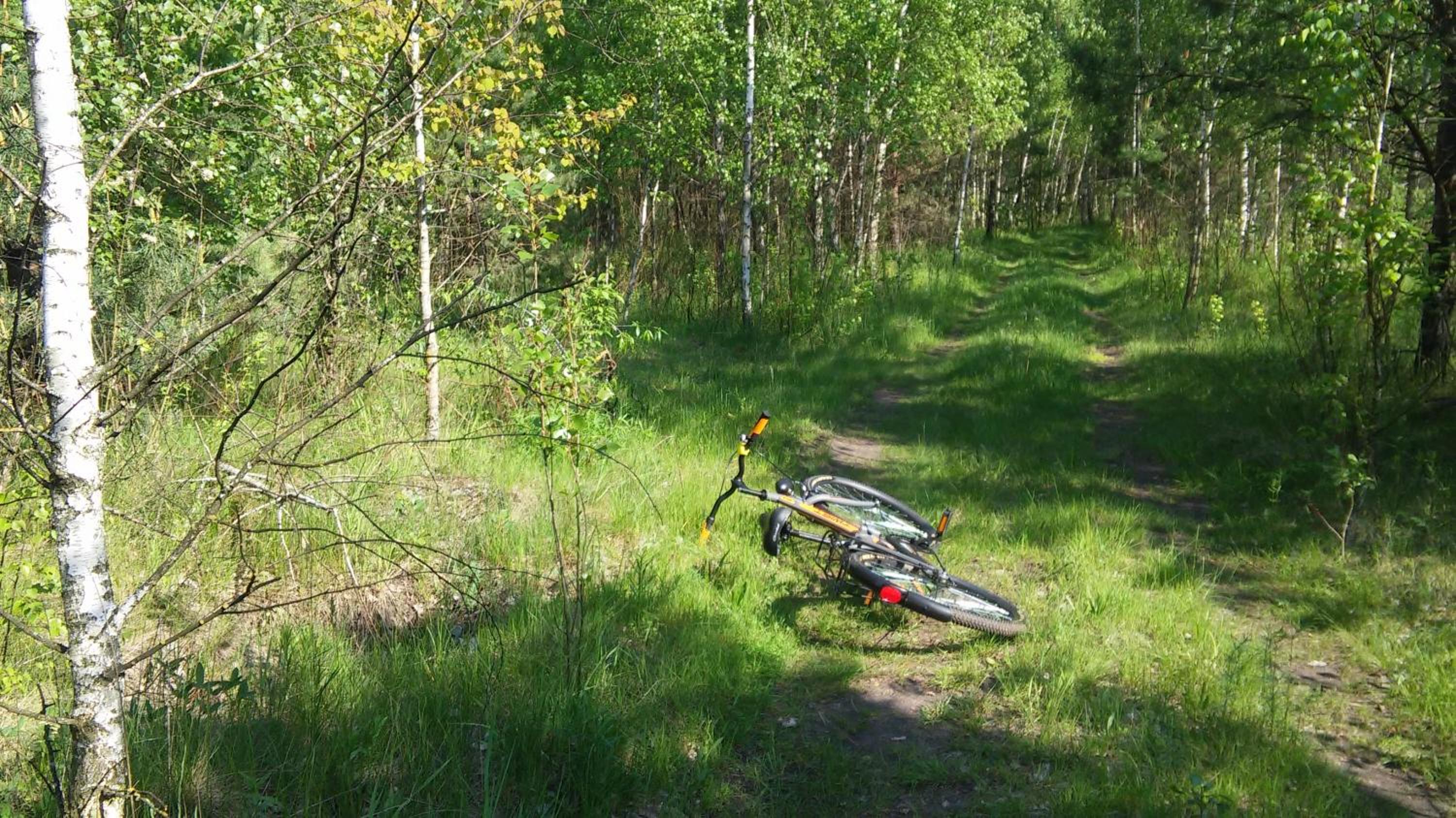 Photo 15