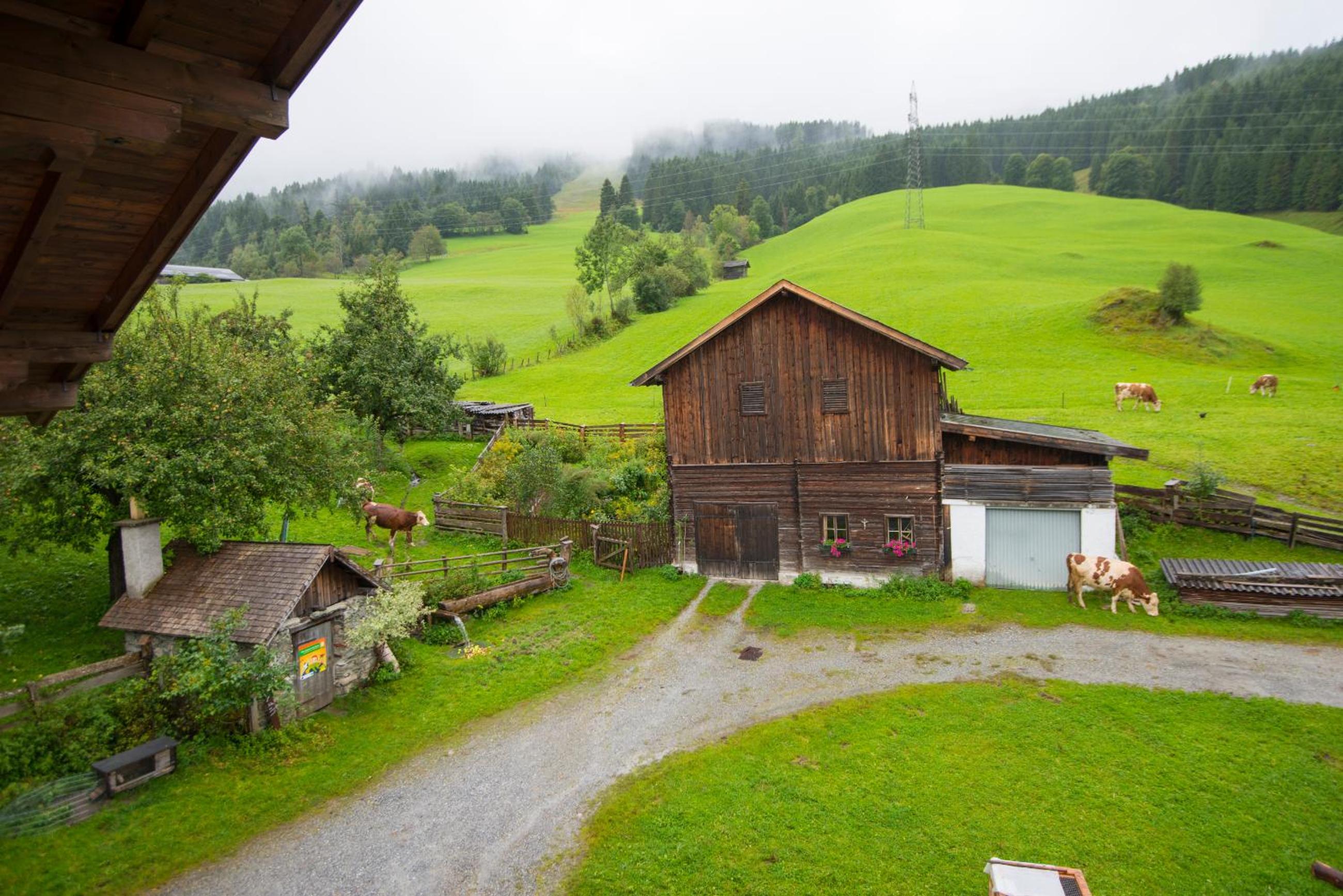 Biohof Maurachgut
