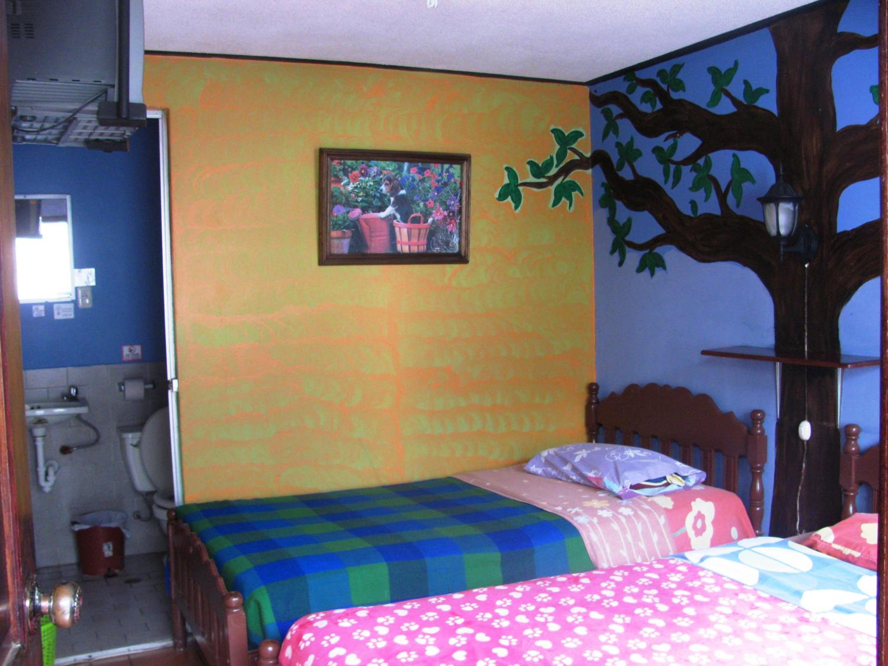 Photo 8