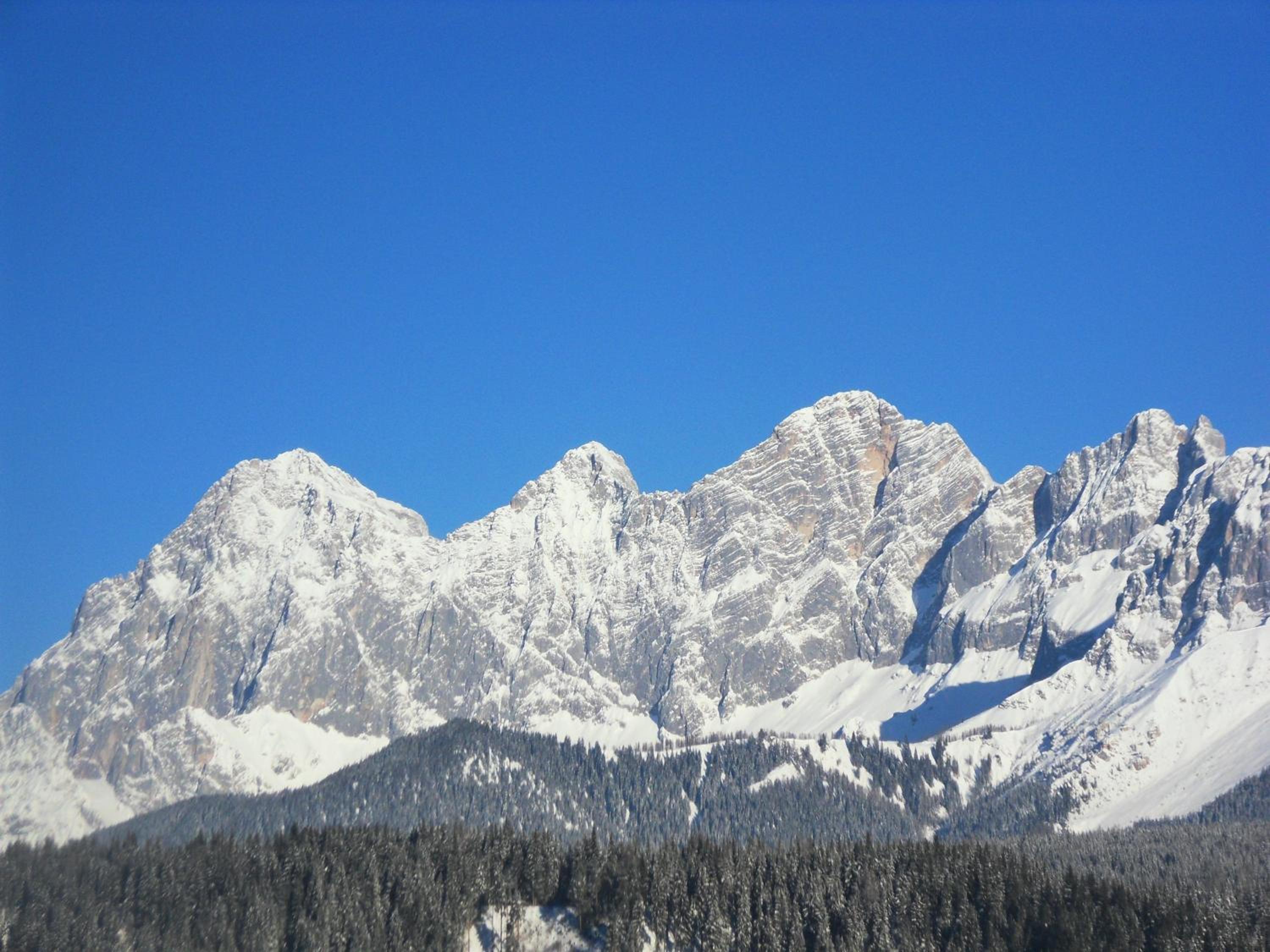 Photo 35