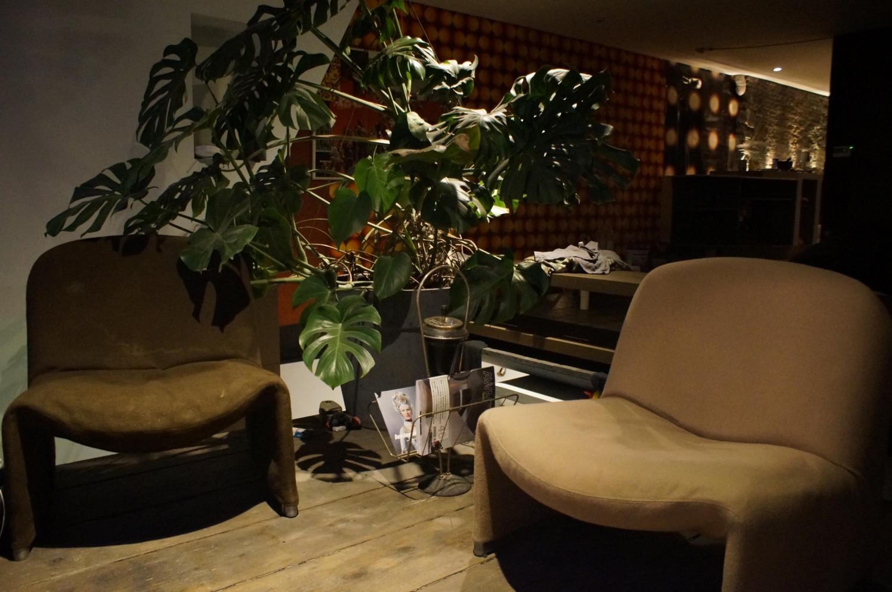Design room in old center
