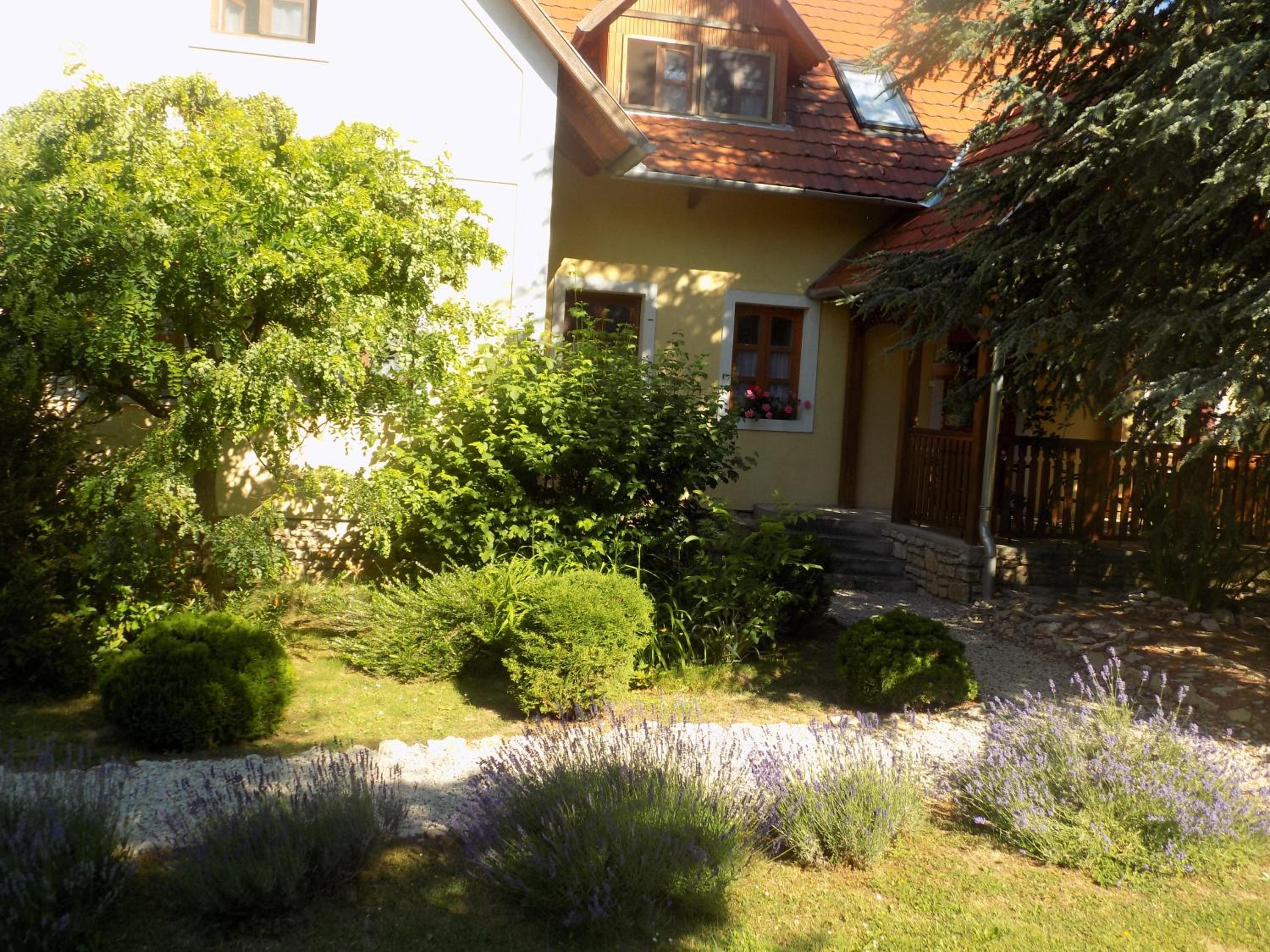 Photo 31
