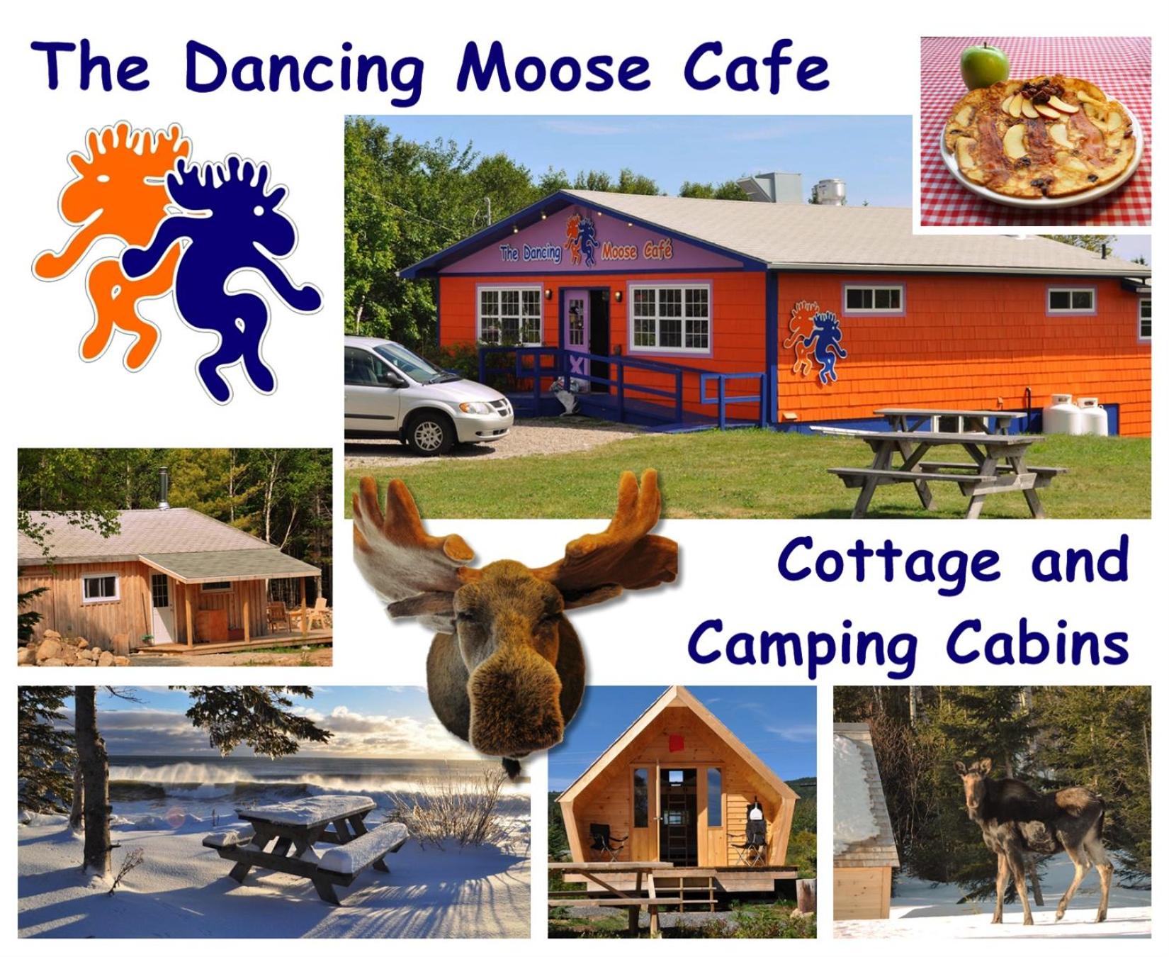 The ZzzzMoose 2 0 Camping Cabin view 4