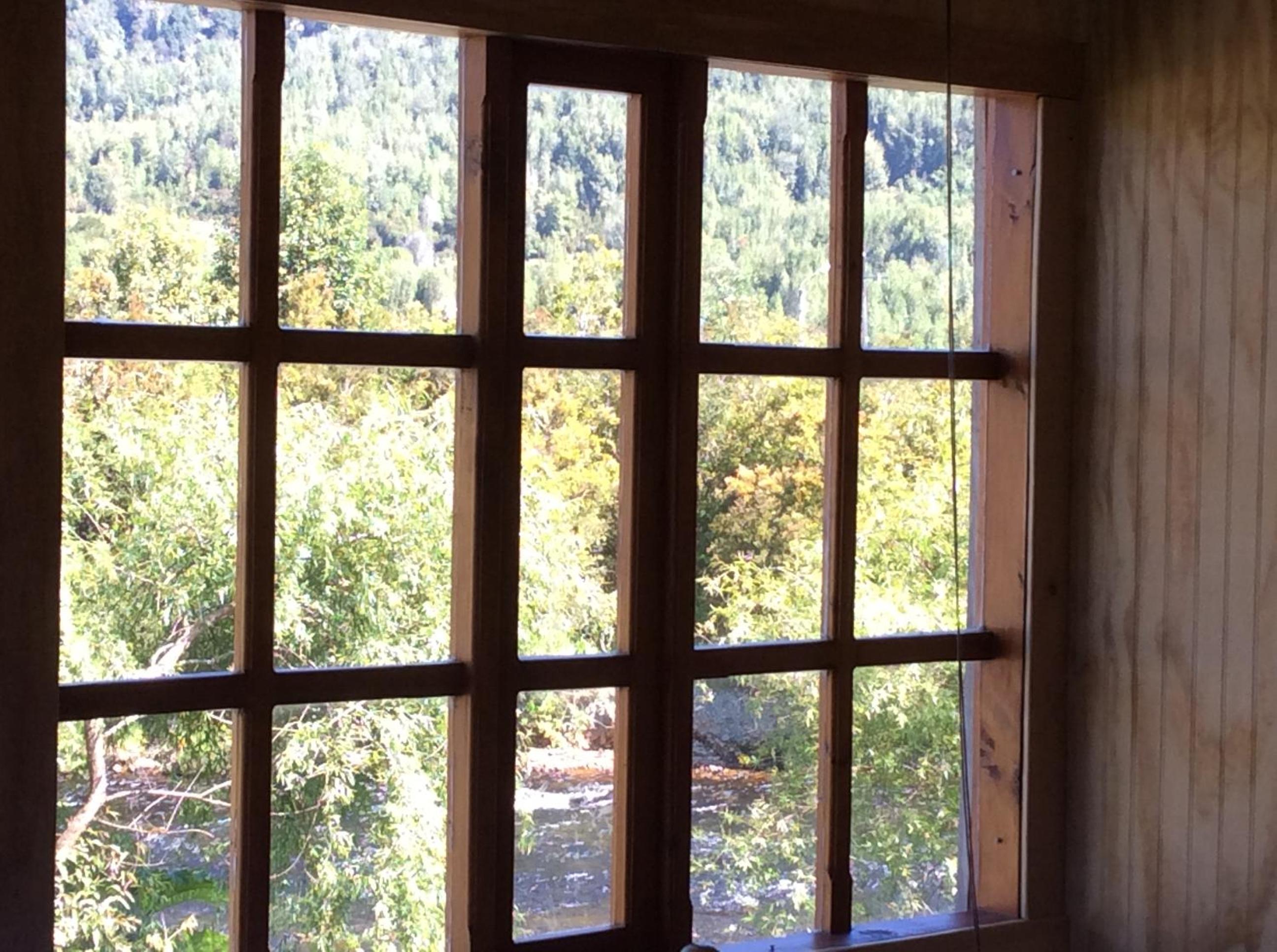 Los Mañíos Del Queulat Puyuhuapi