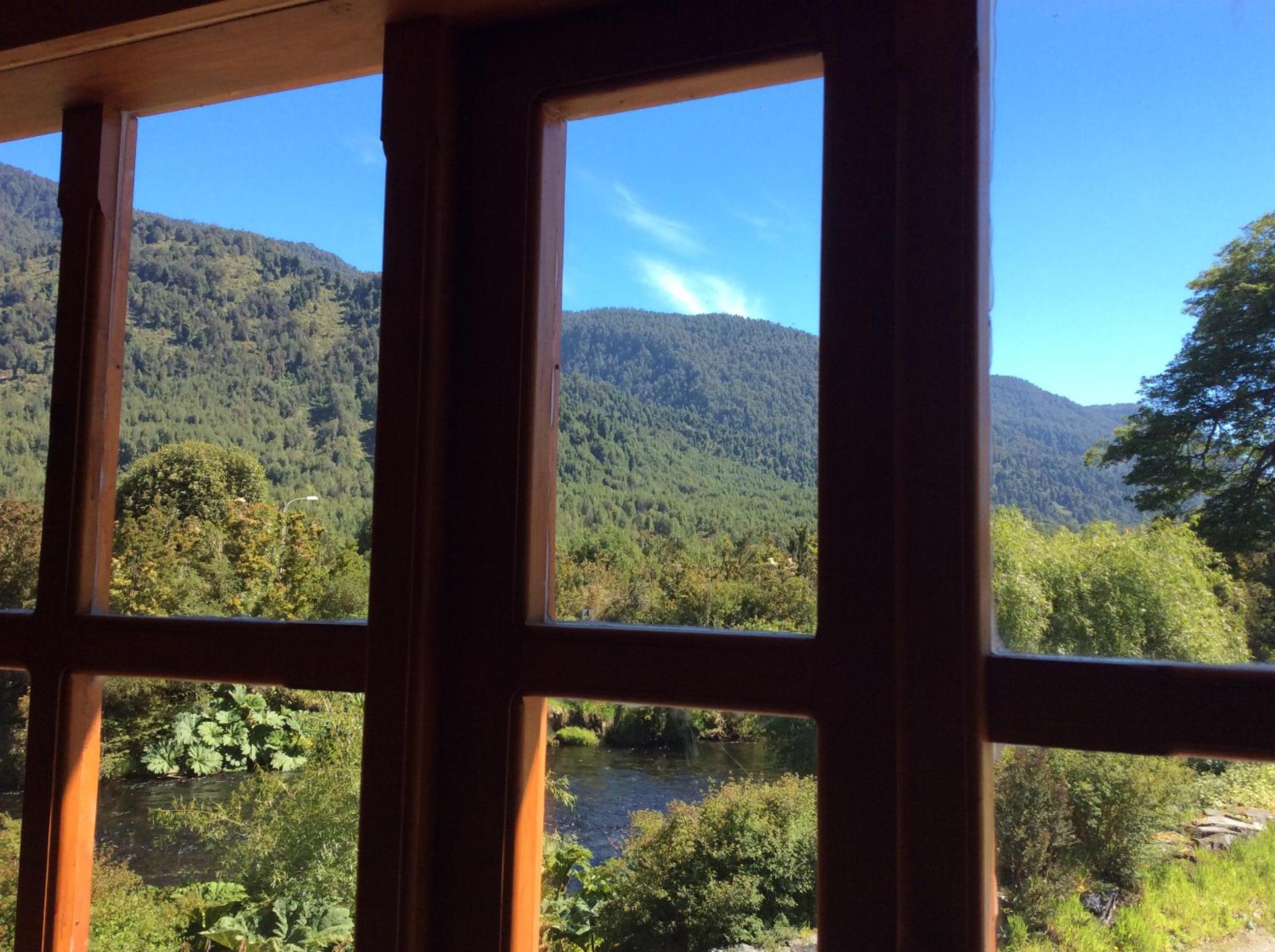 Los Mañíos Del Queulat Puyuhuapi