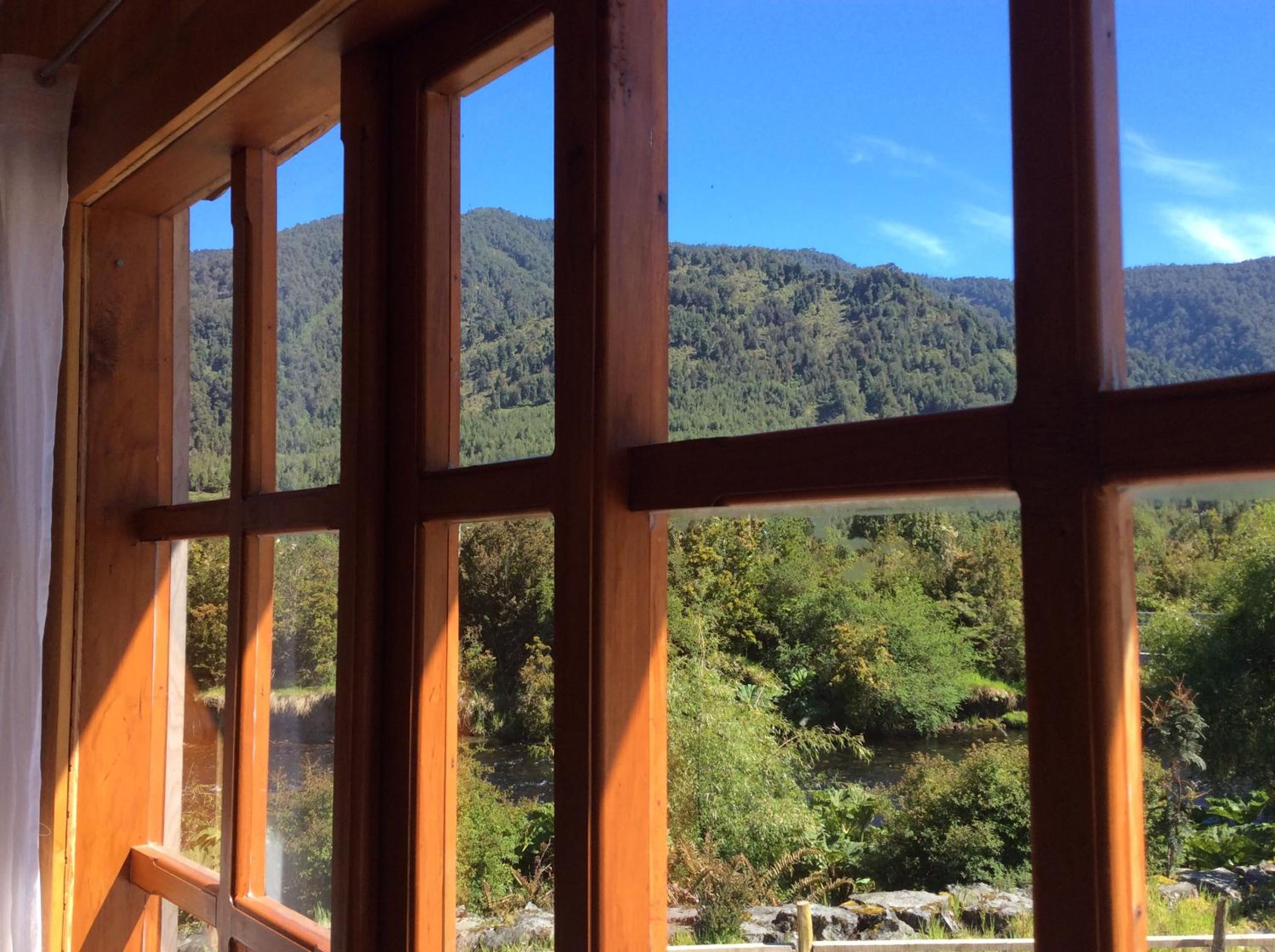 Los Mañíos Del Queulat Puyuhuapi