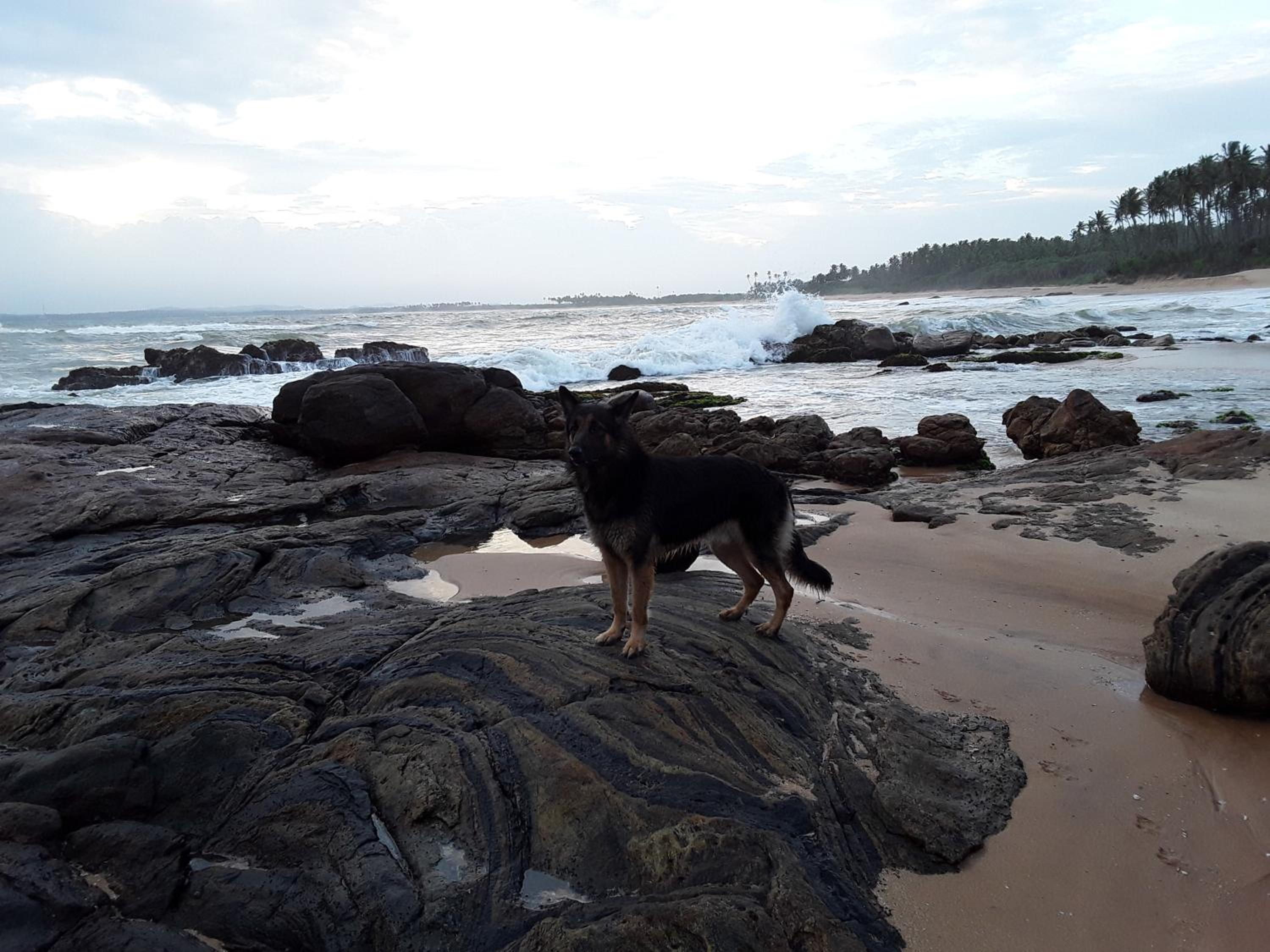 Photo 60