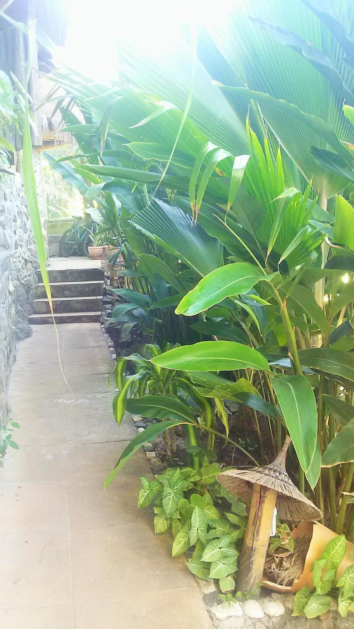 Pousada Tãnara
