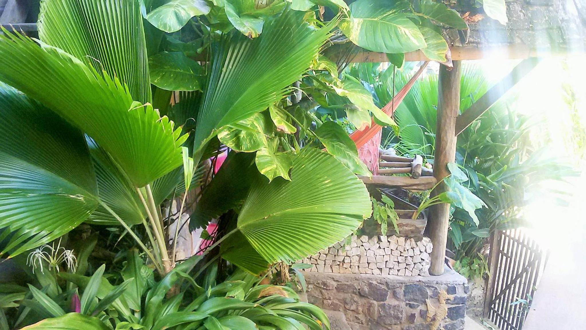 Pousada Tãnara