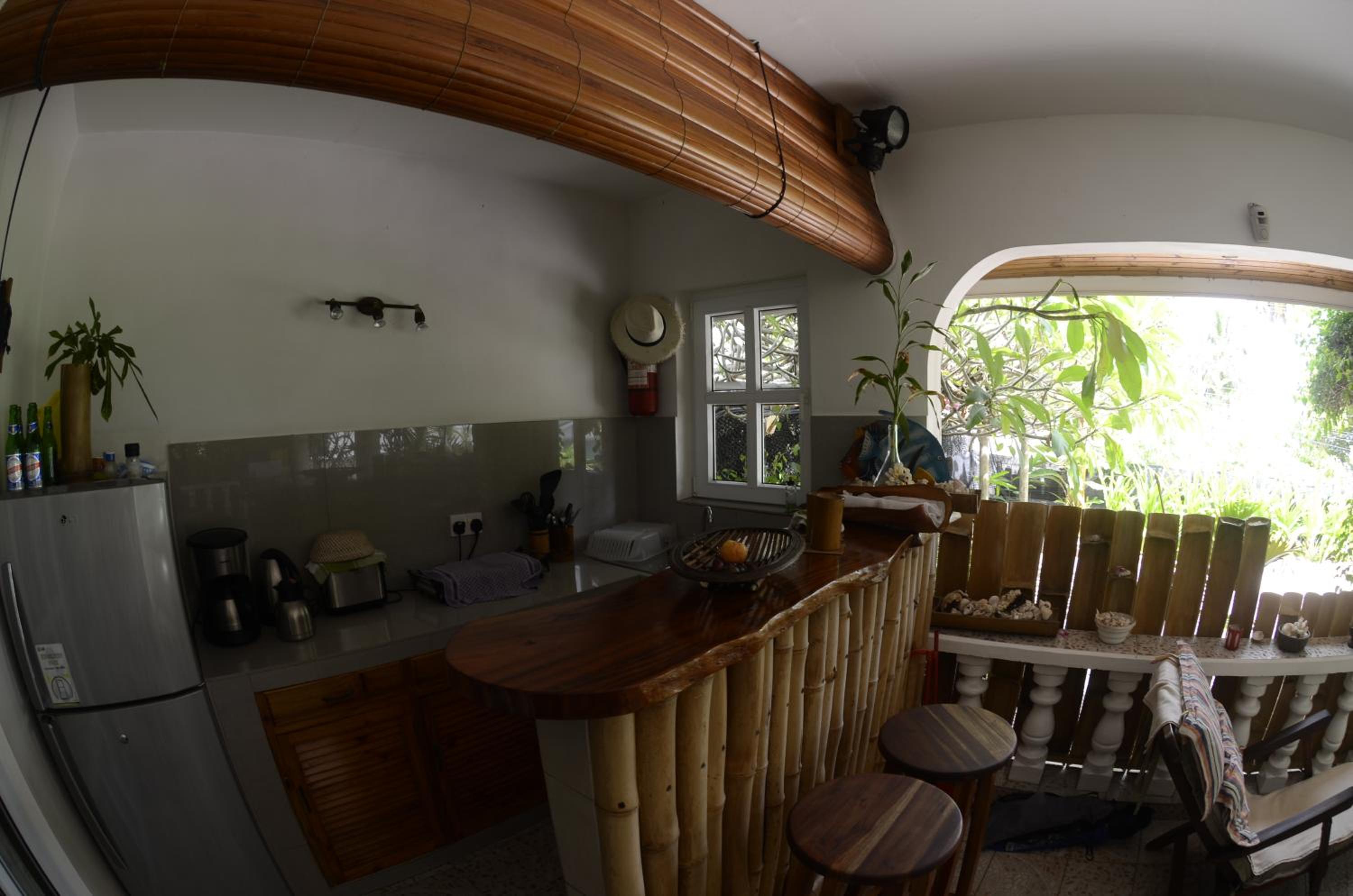 Beau Bamboo view 4