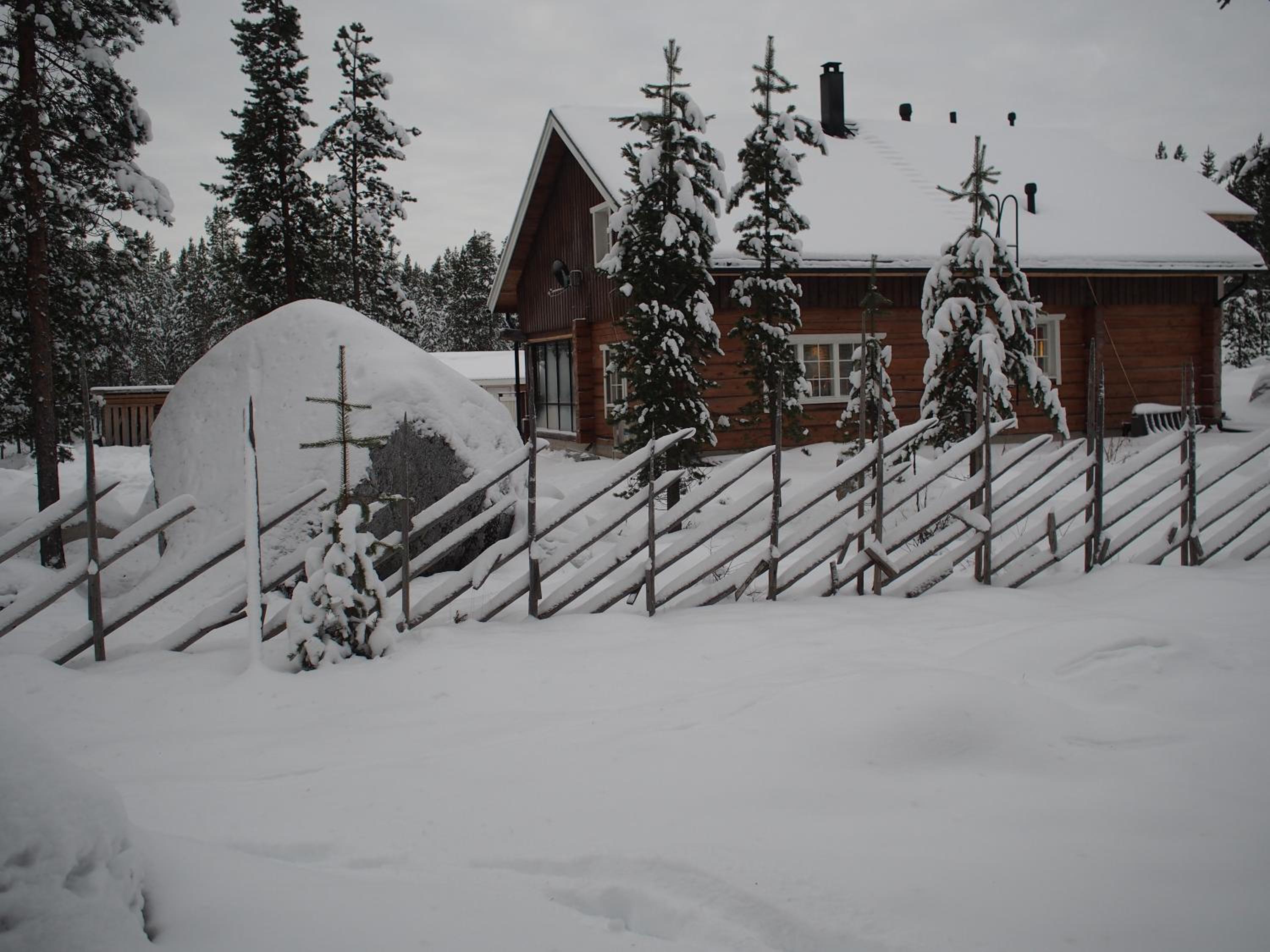 Photo 11