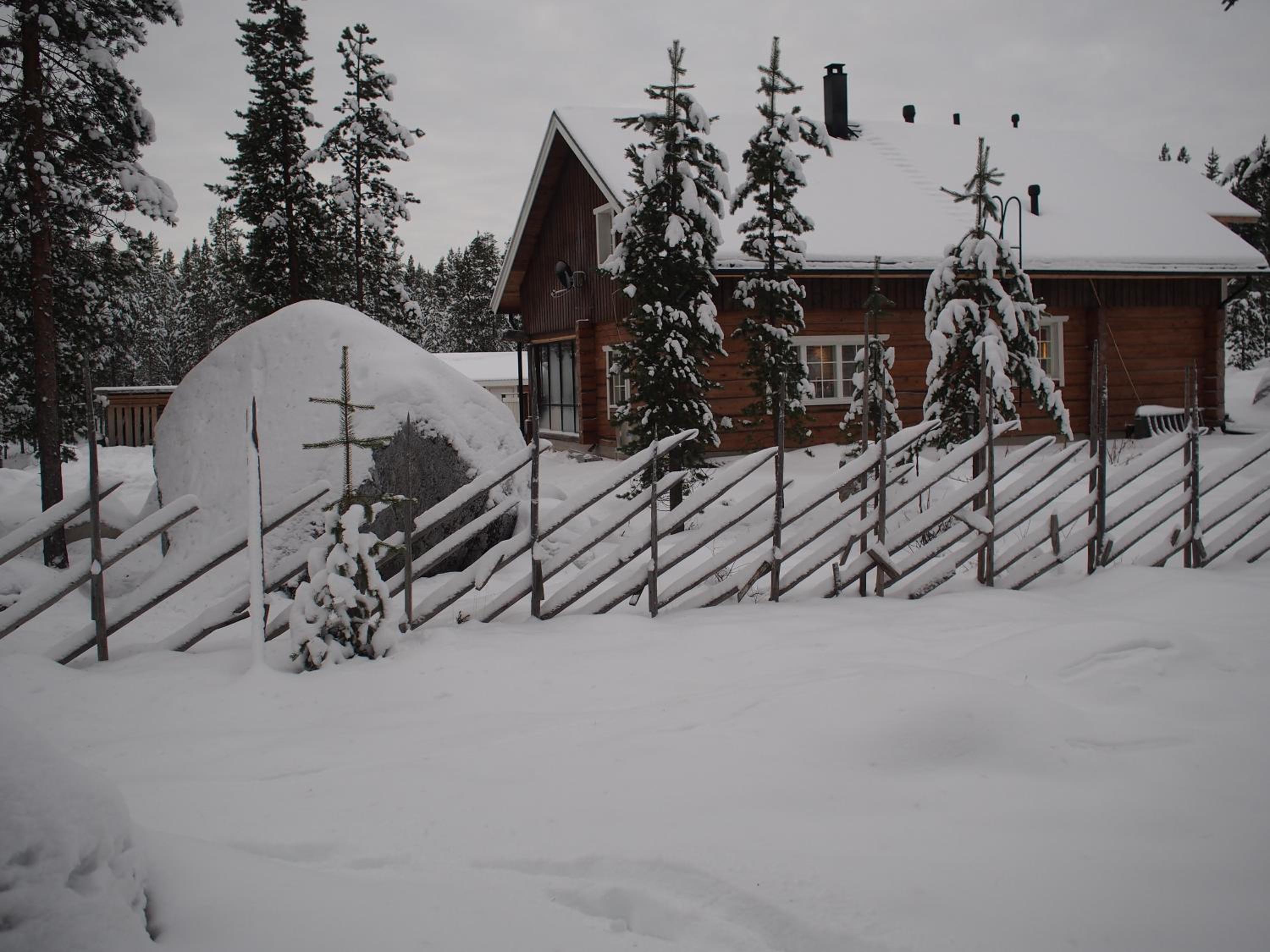 Inari Juutua view 4