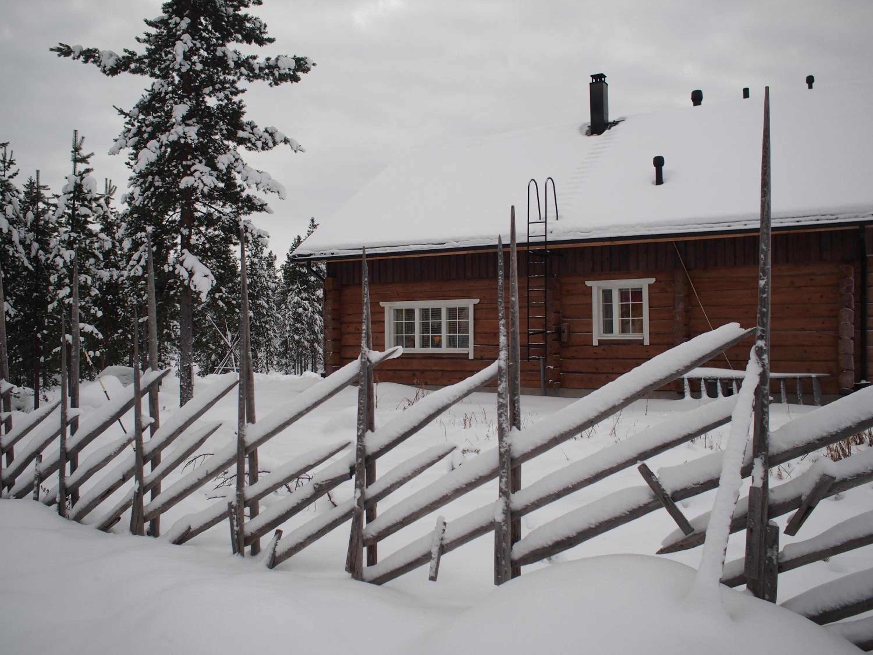 Inari Juutua view 3