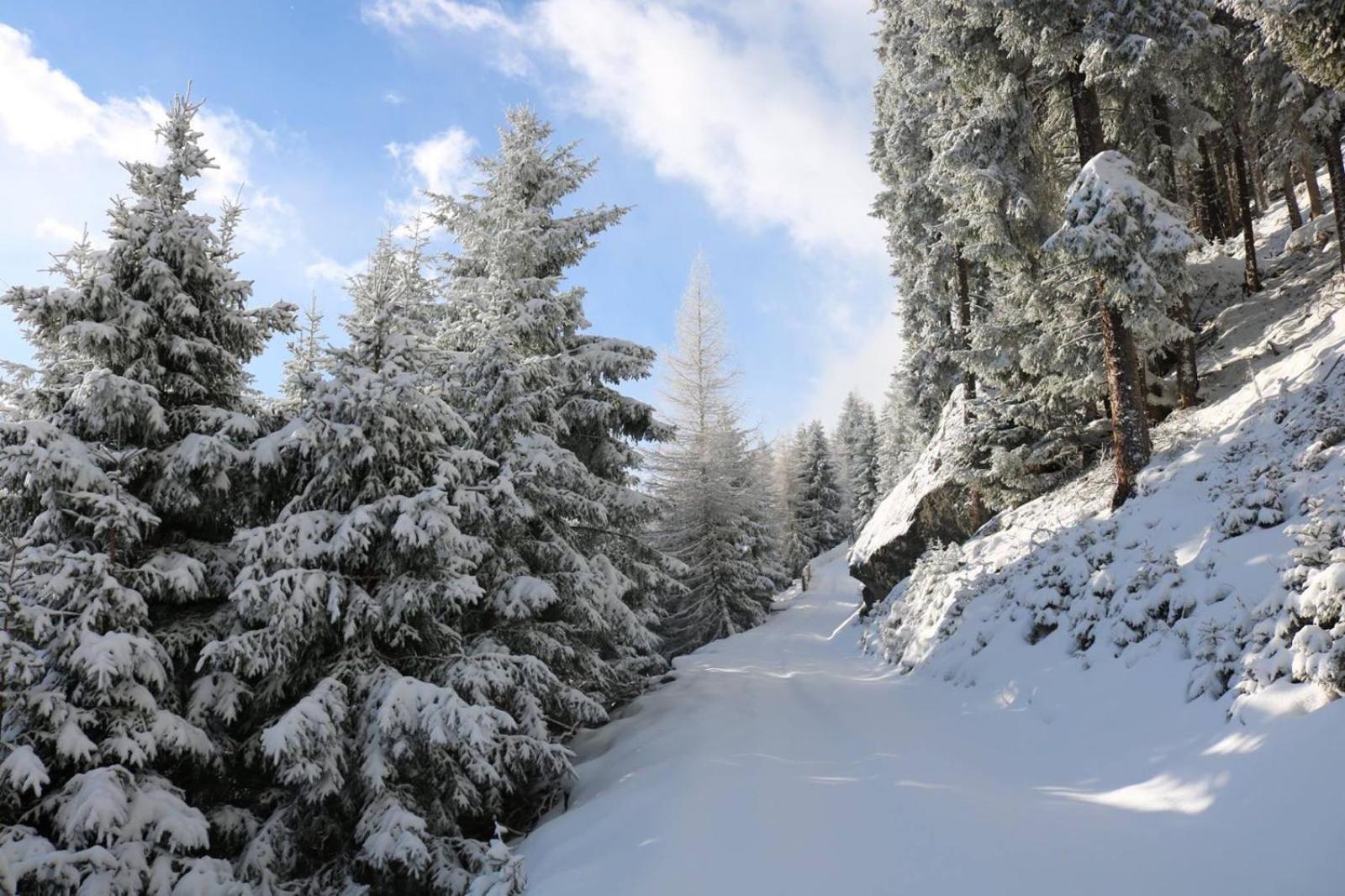 Photo 92