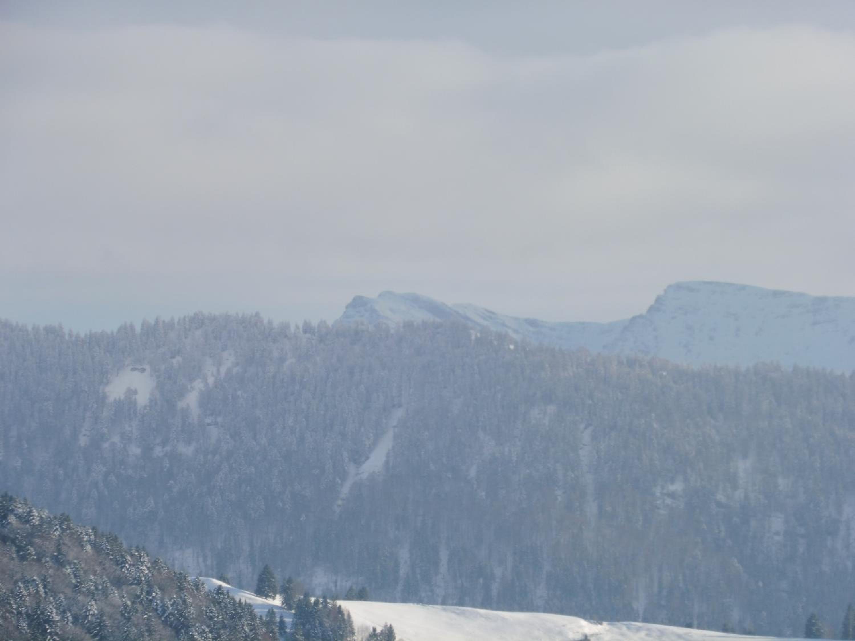 Grün und herzlich