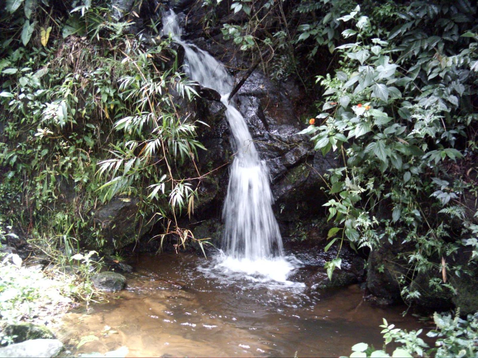 Sítio Recanto do Araçá view 3