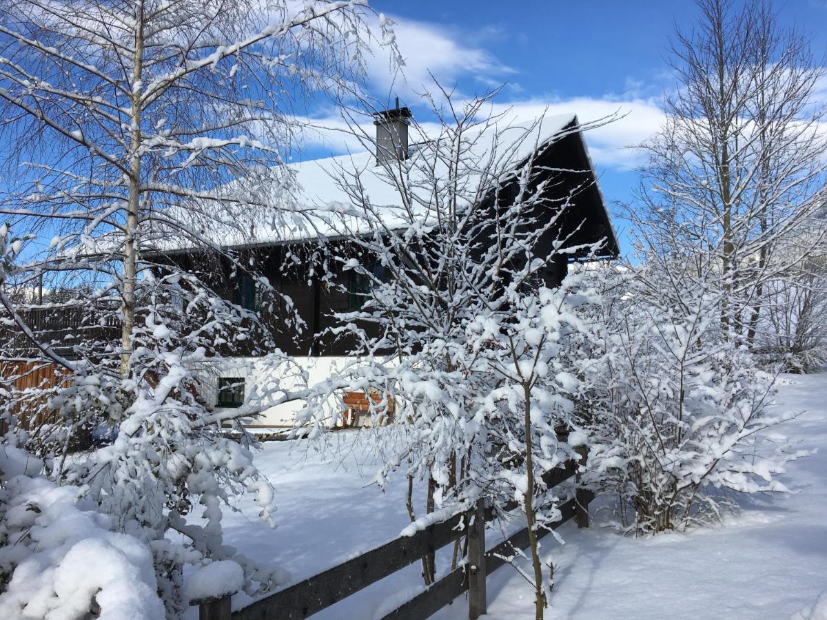 Ausseer Chalet (nahe Hallstatt), Ferienhaus