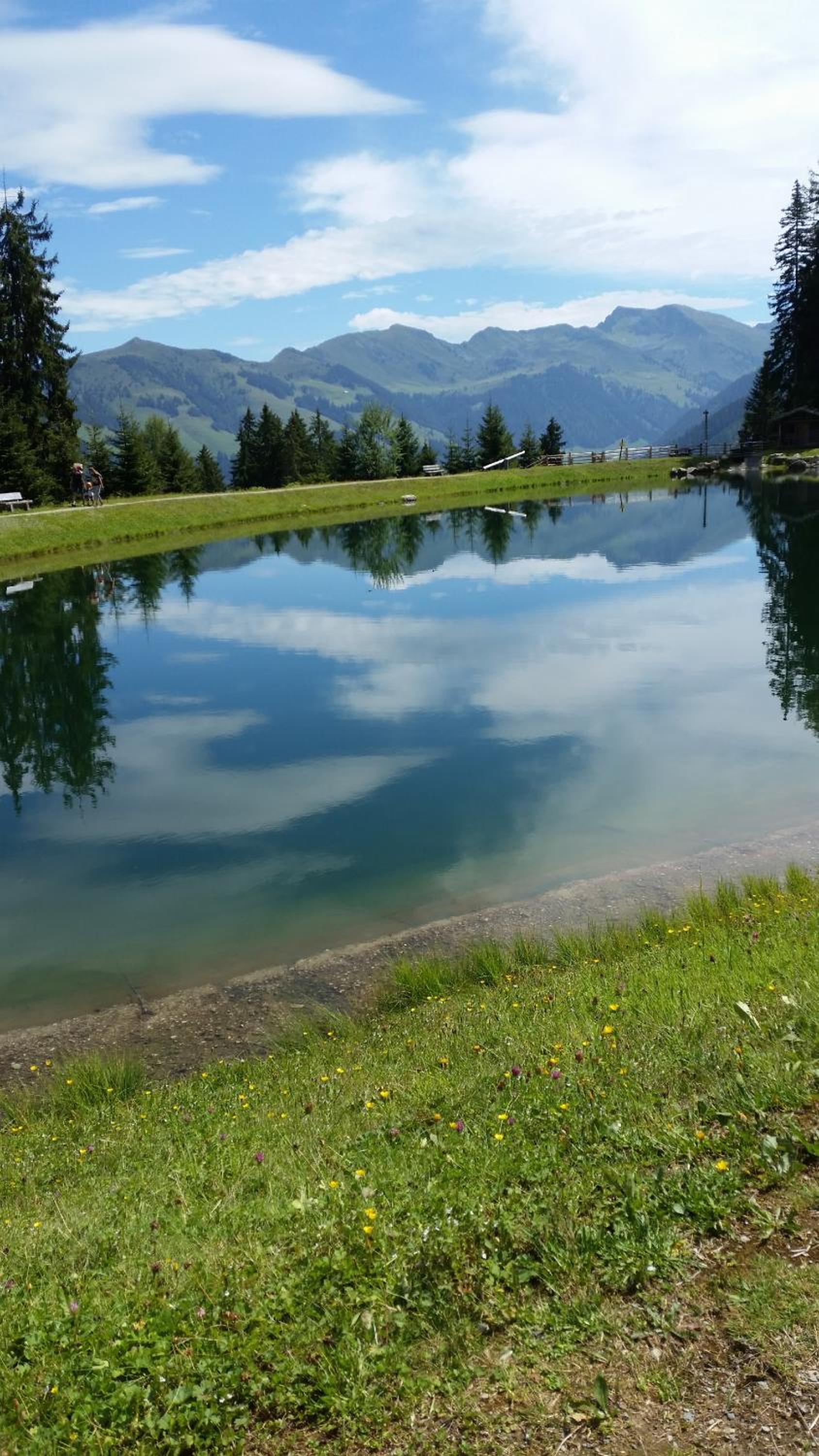 Hanslerfeld
