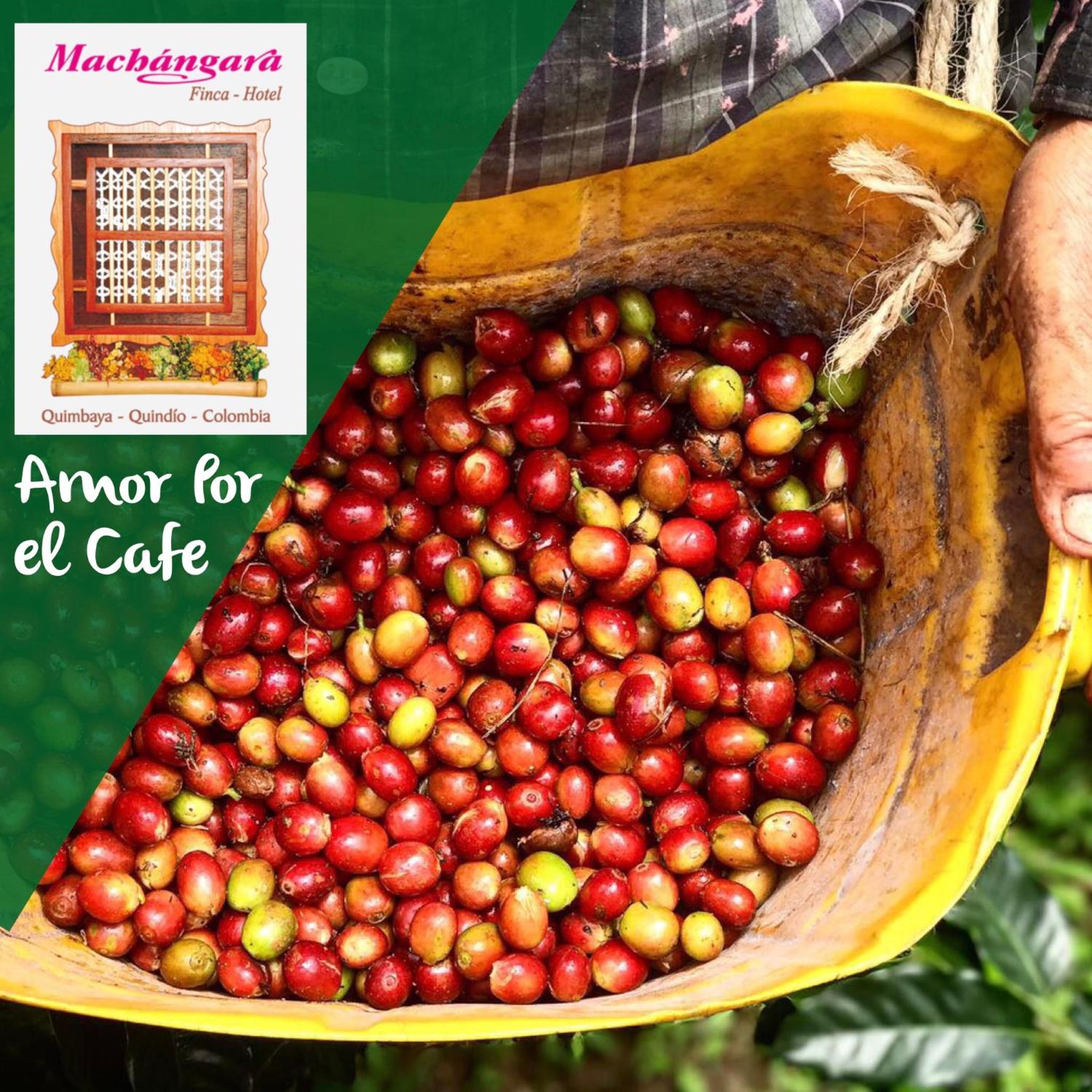 Finca Machangara