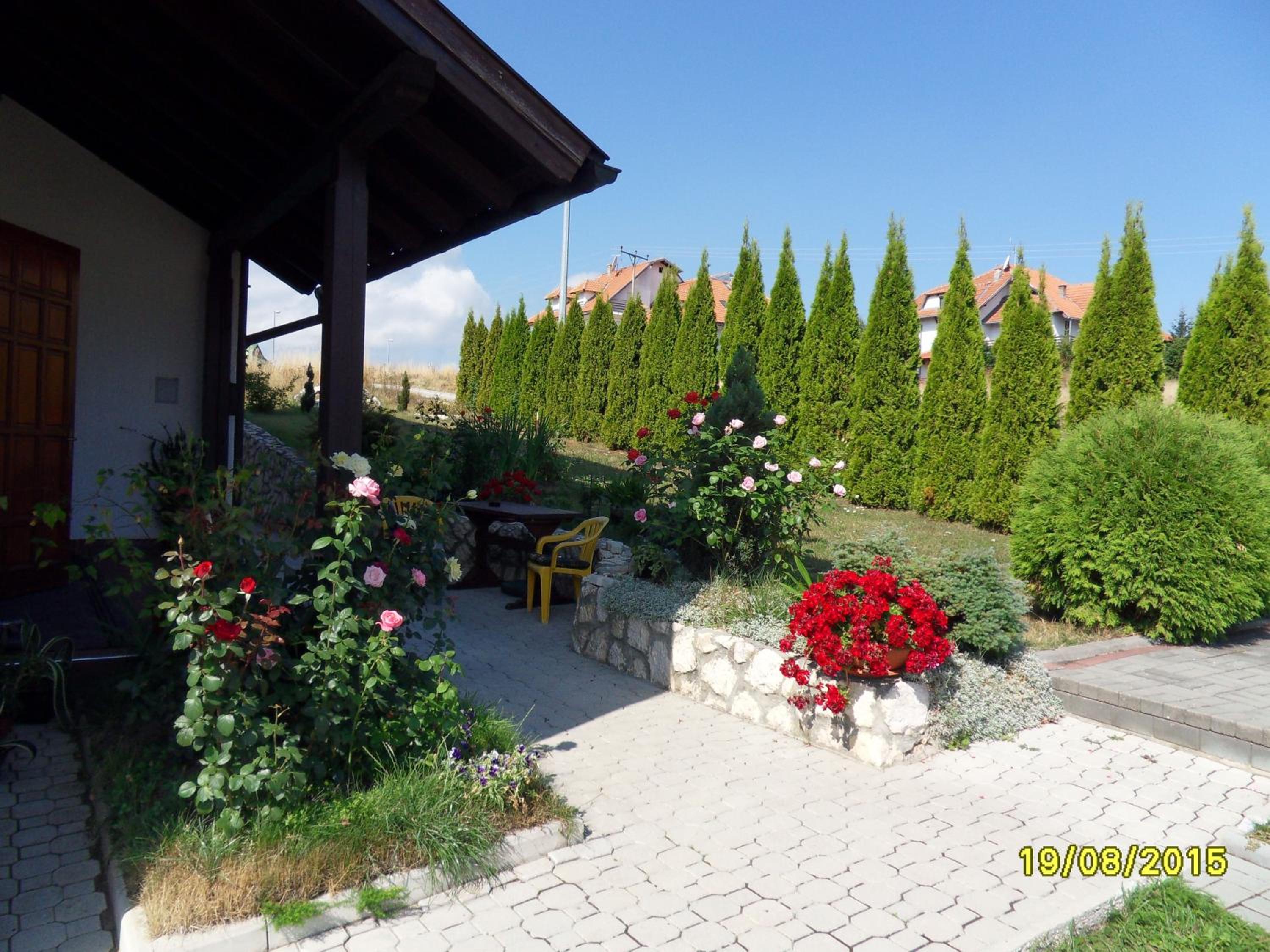Photo 44