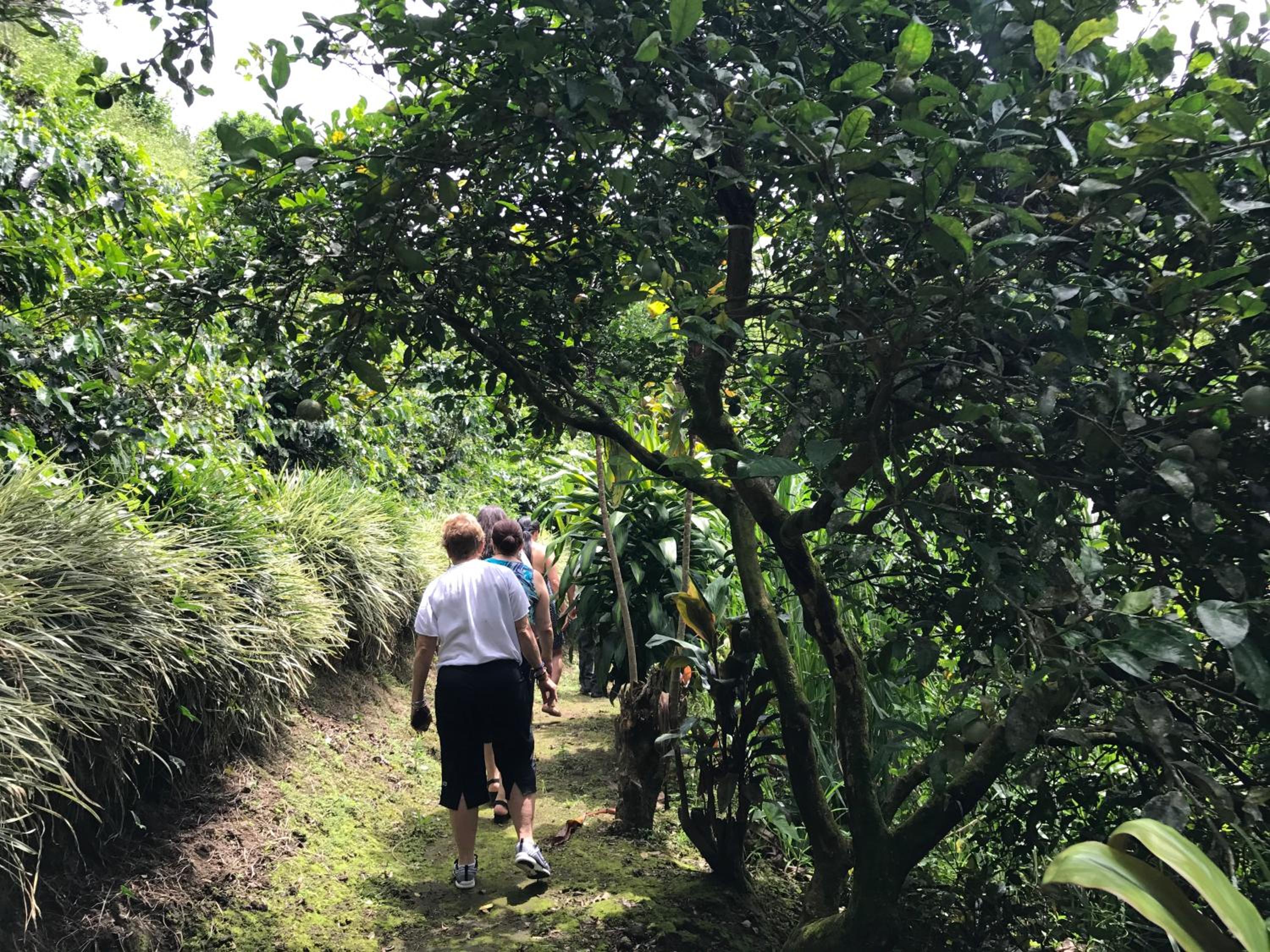 Finca Machangara