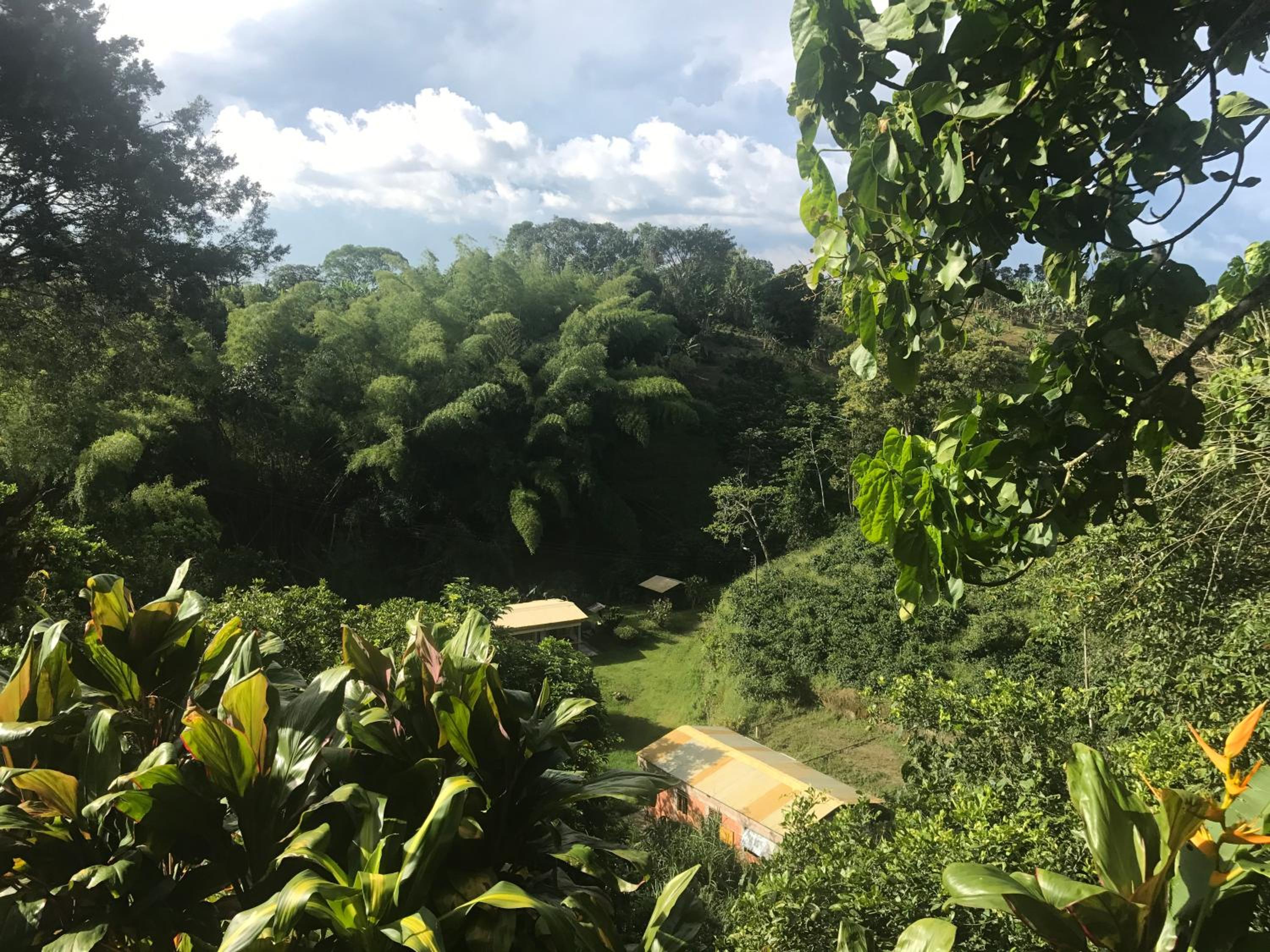 Finca Machangara
