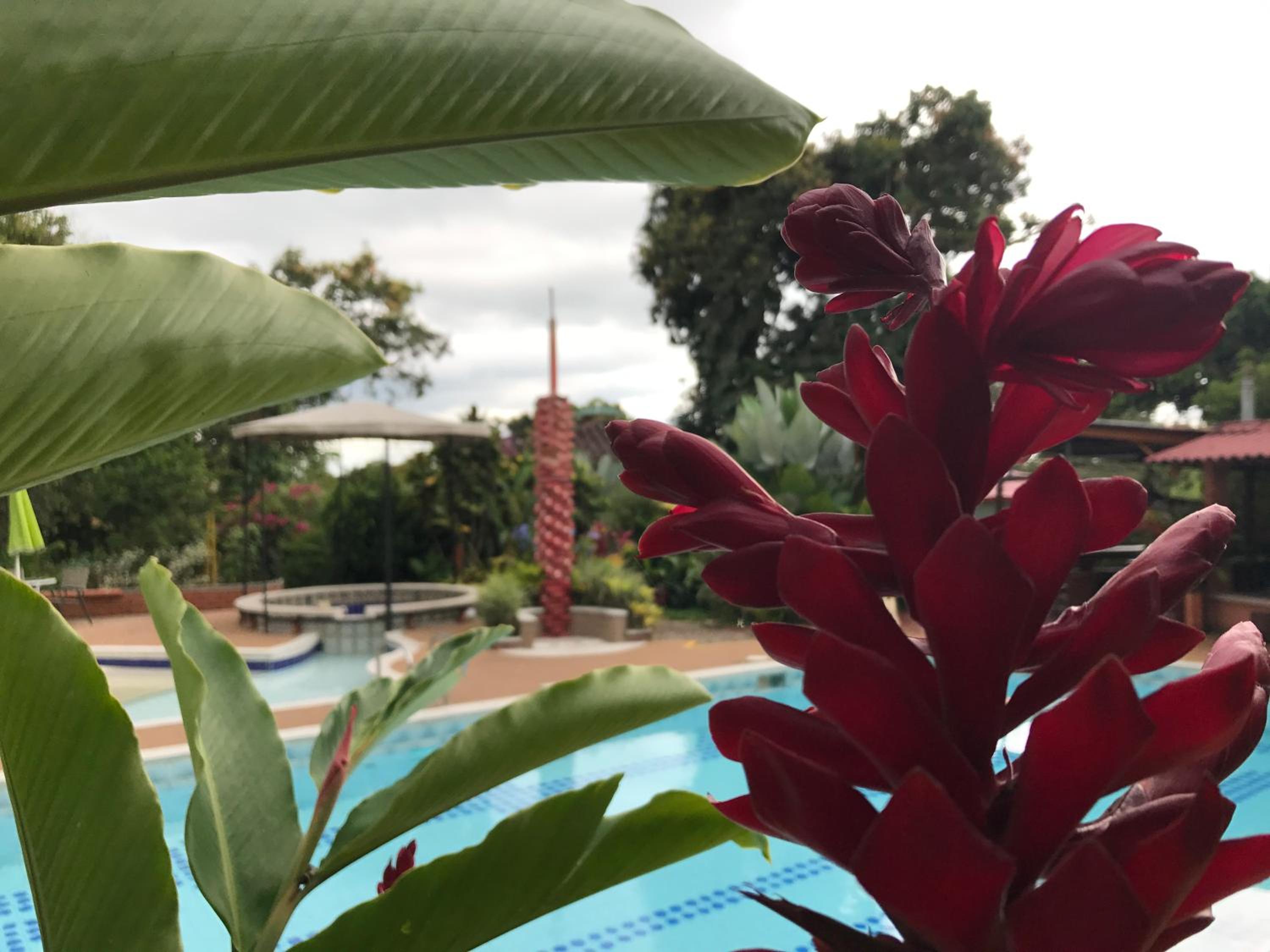 Finca Machangara