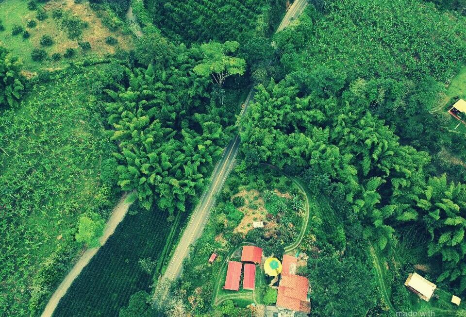 Finca Machangara