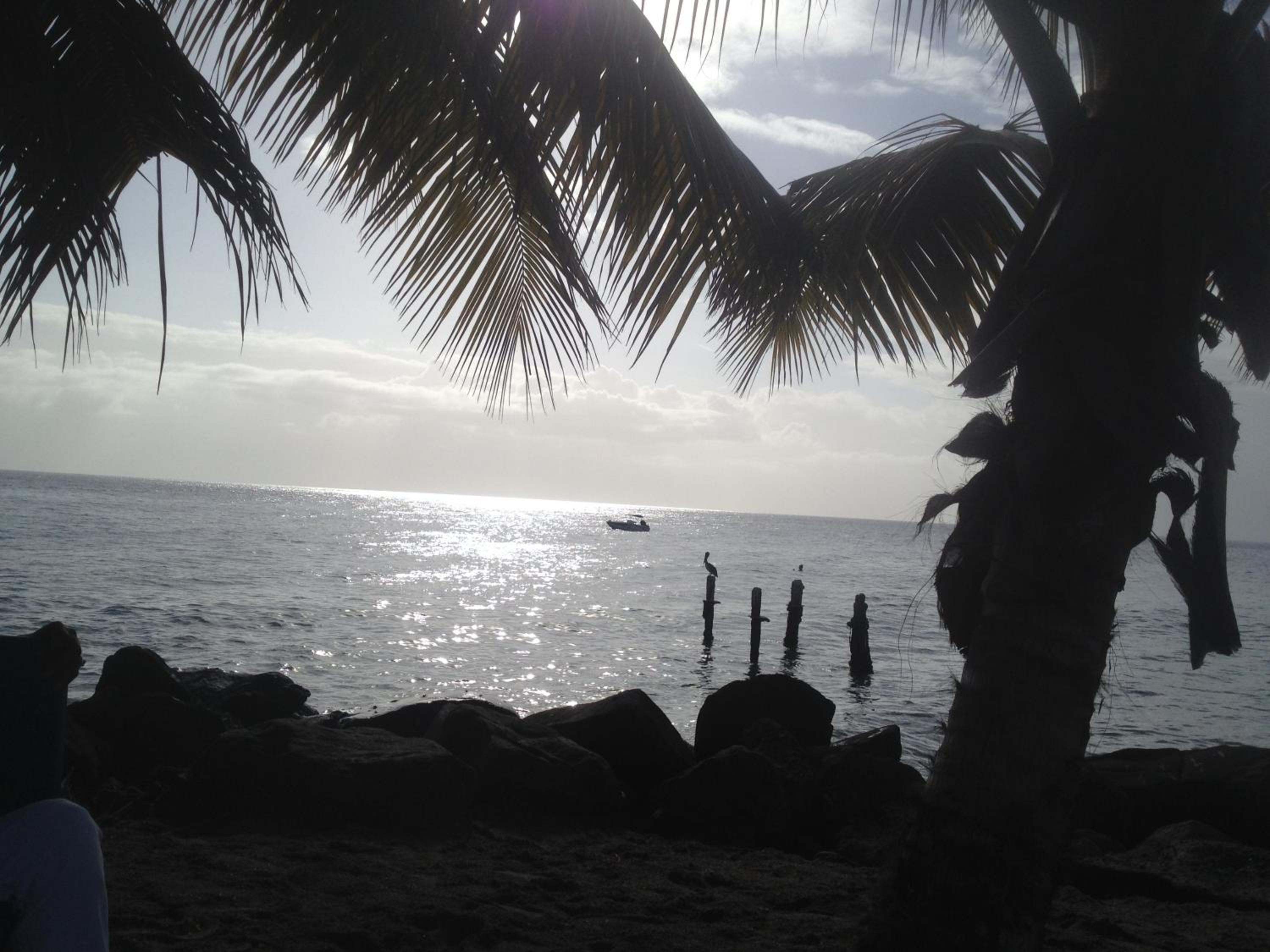 Photo 48