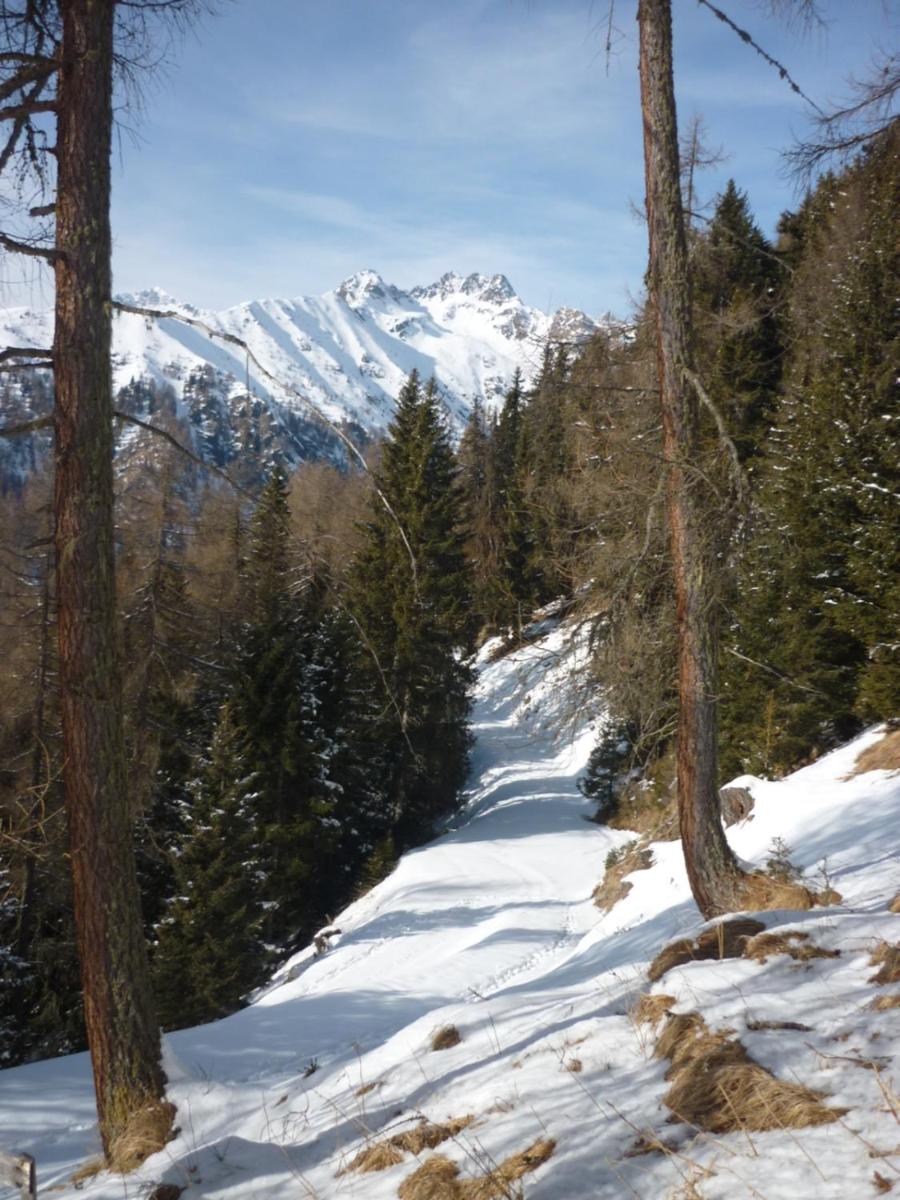 Photo 19