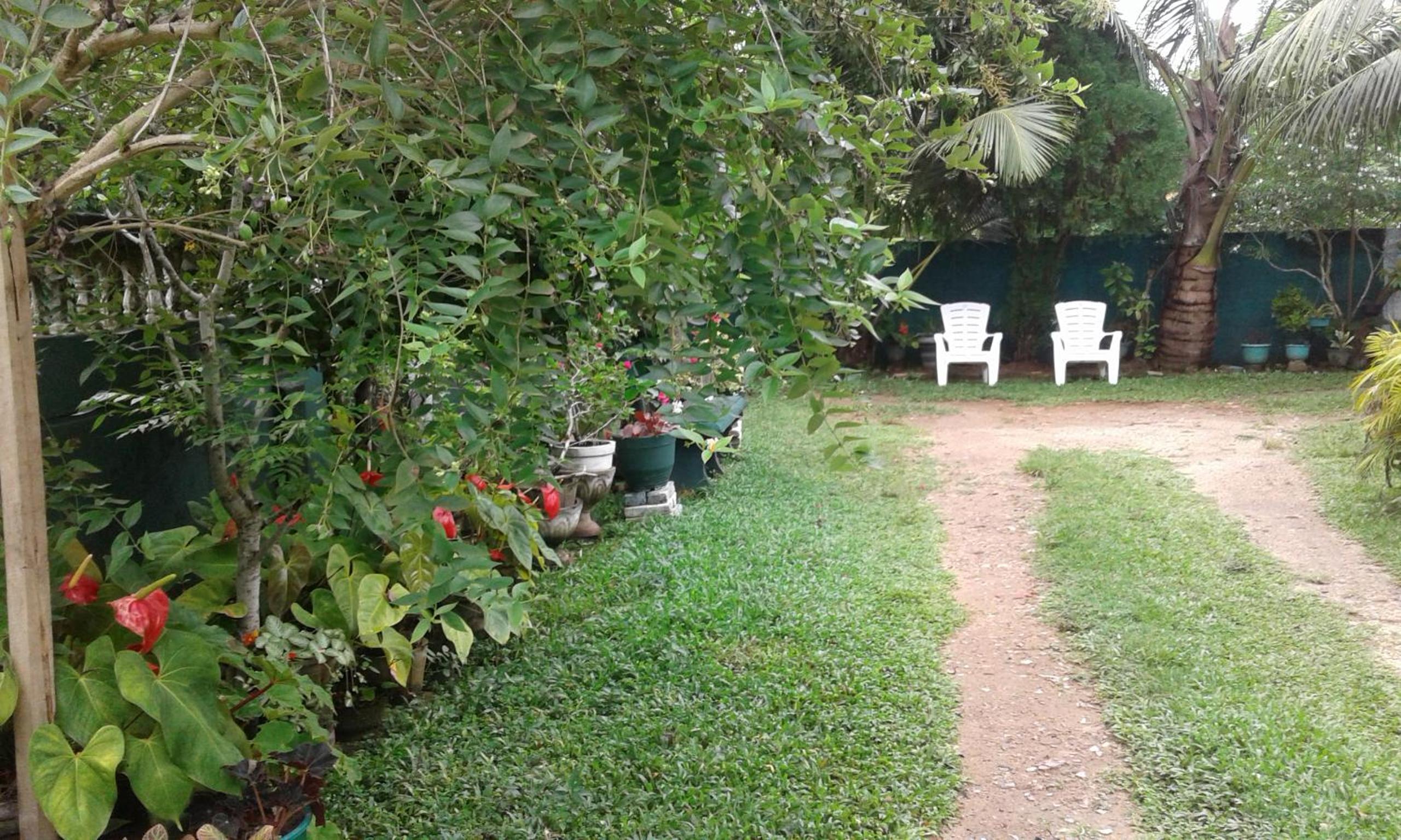 Photo 36
