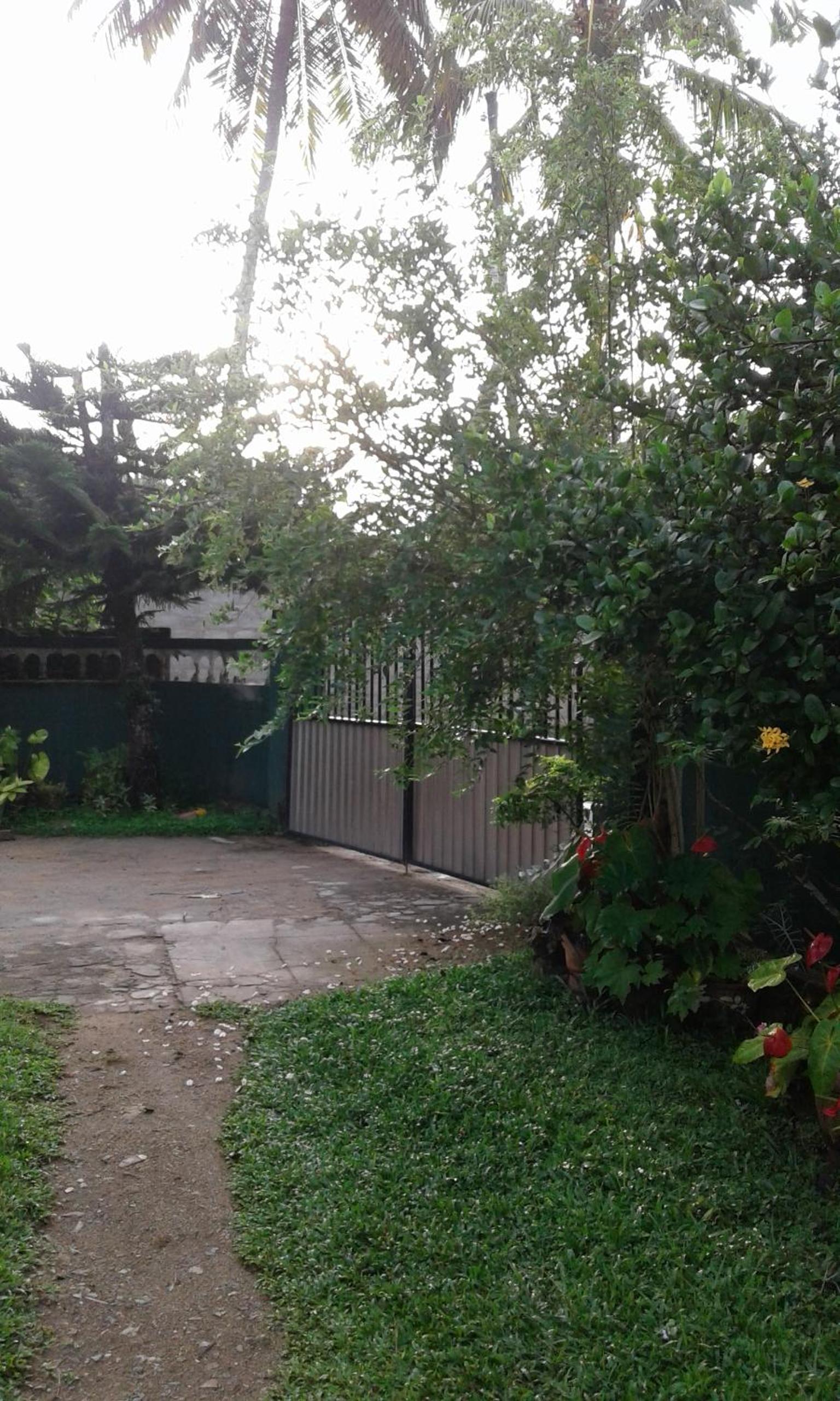 Photo 34