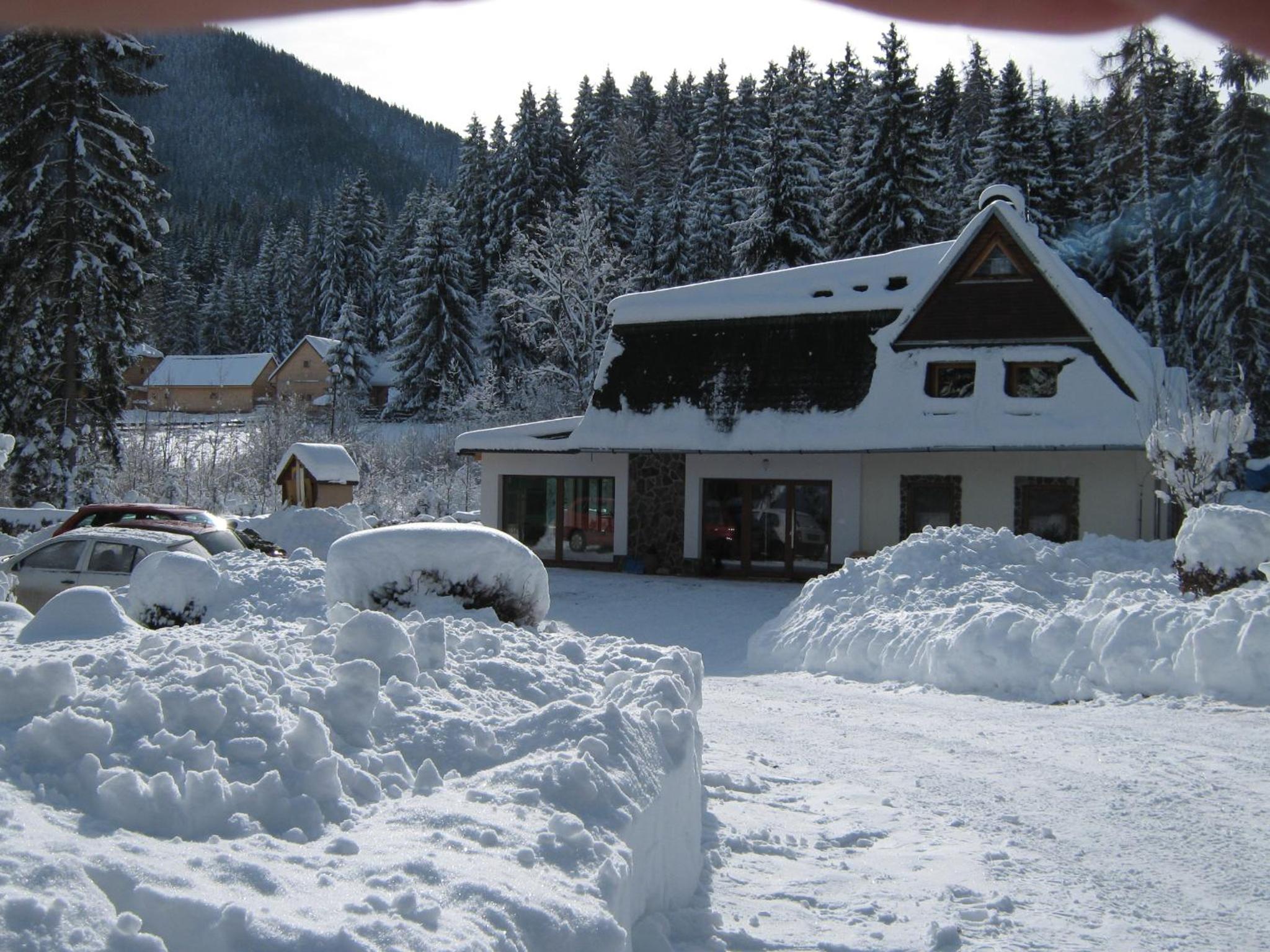 Photo 45