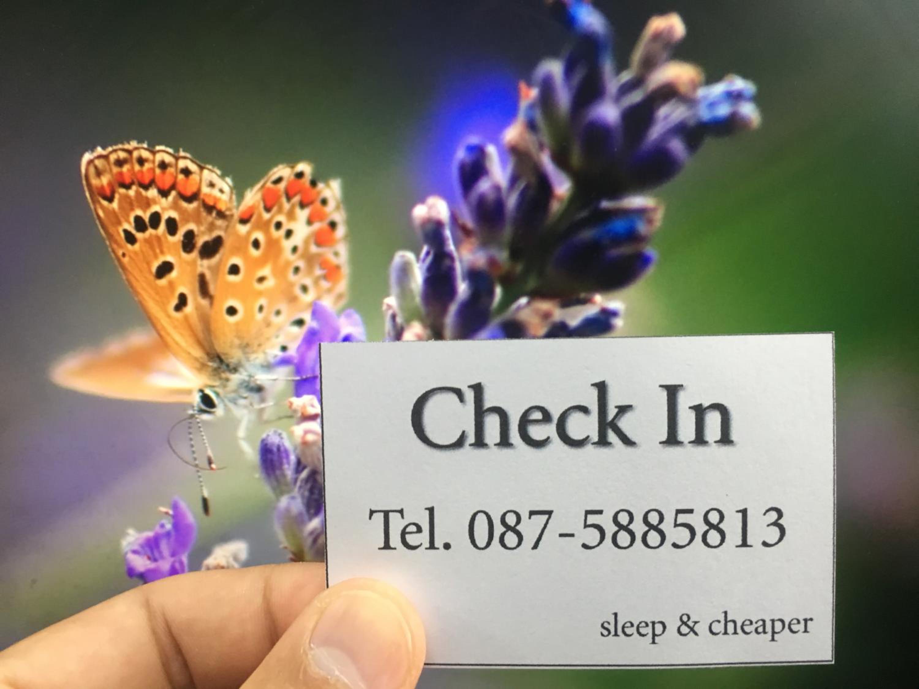 Centrio nearby Central Phuket