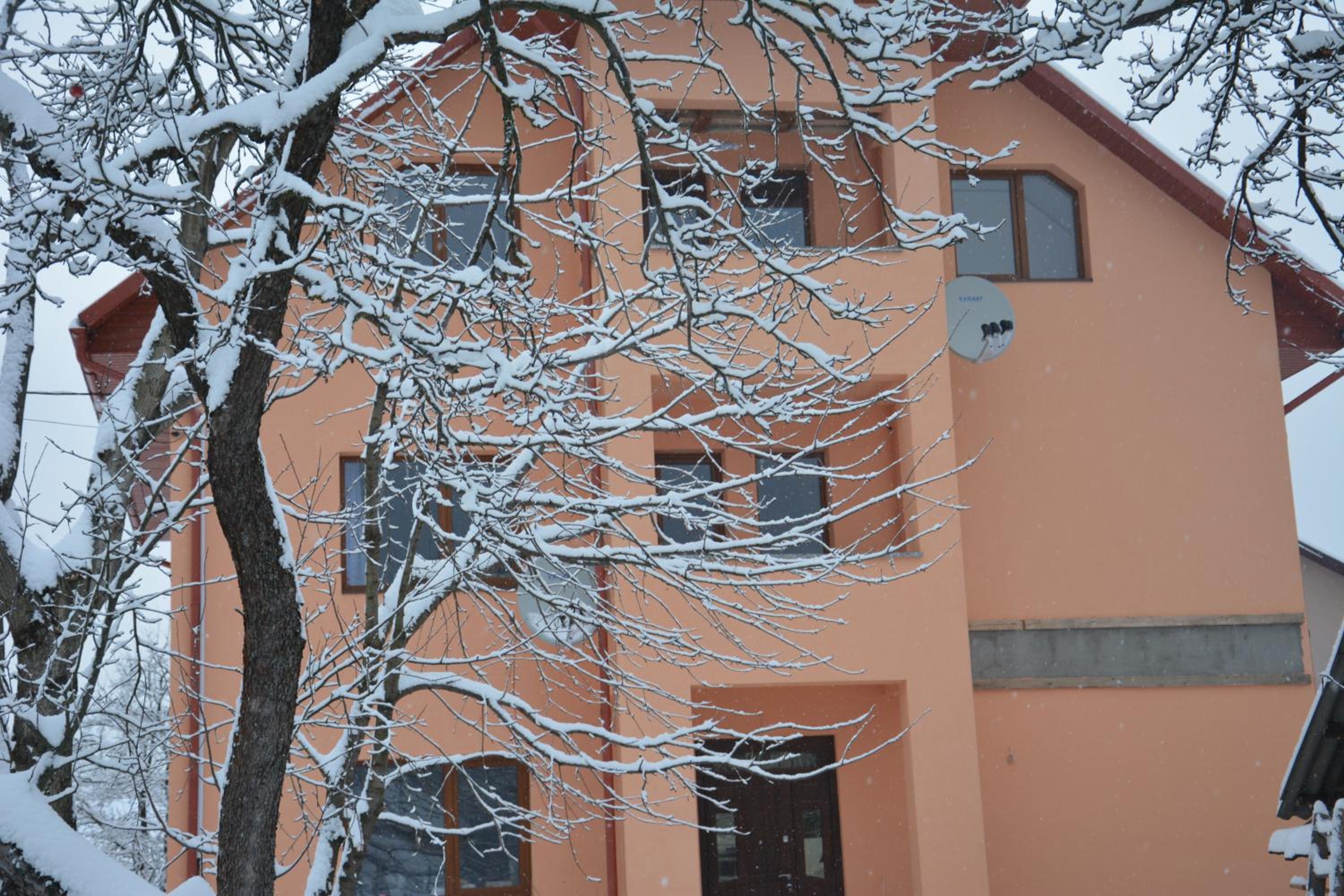 Photo 6