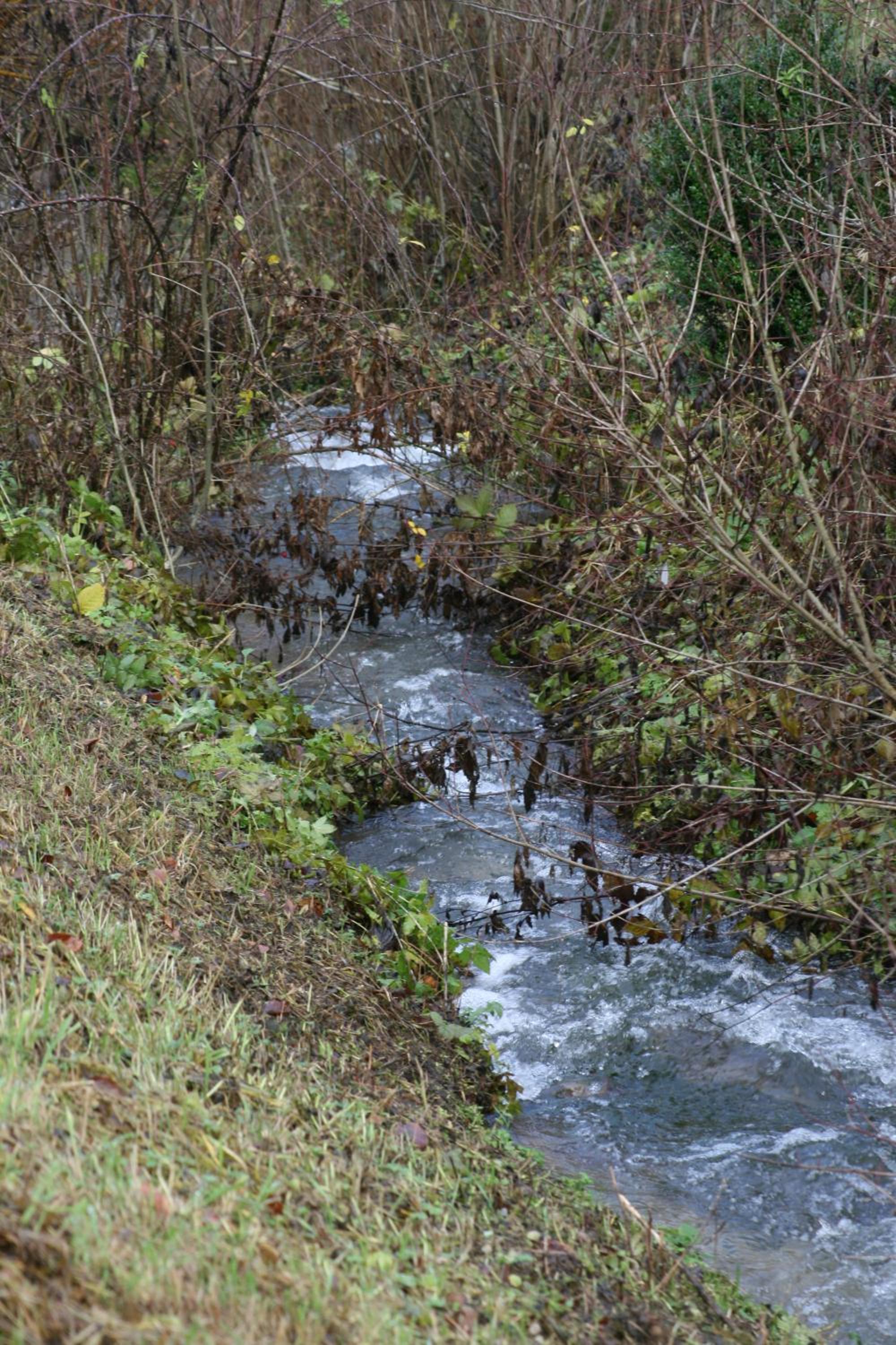B&B Arlesbrunnen