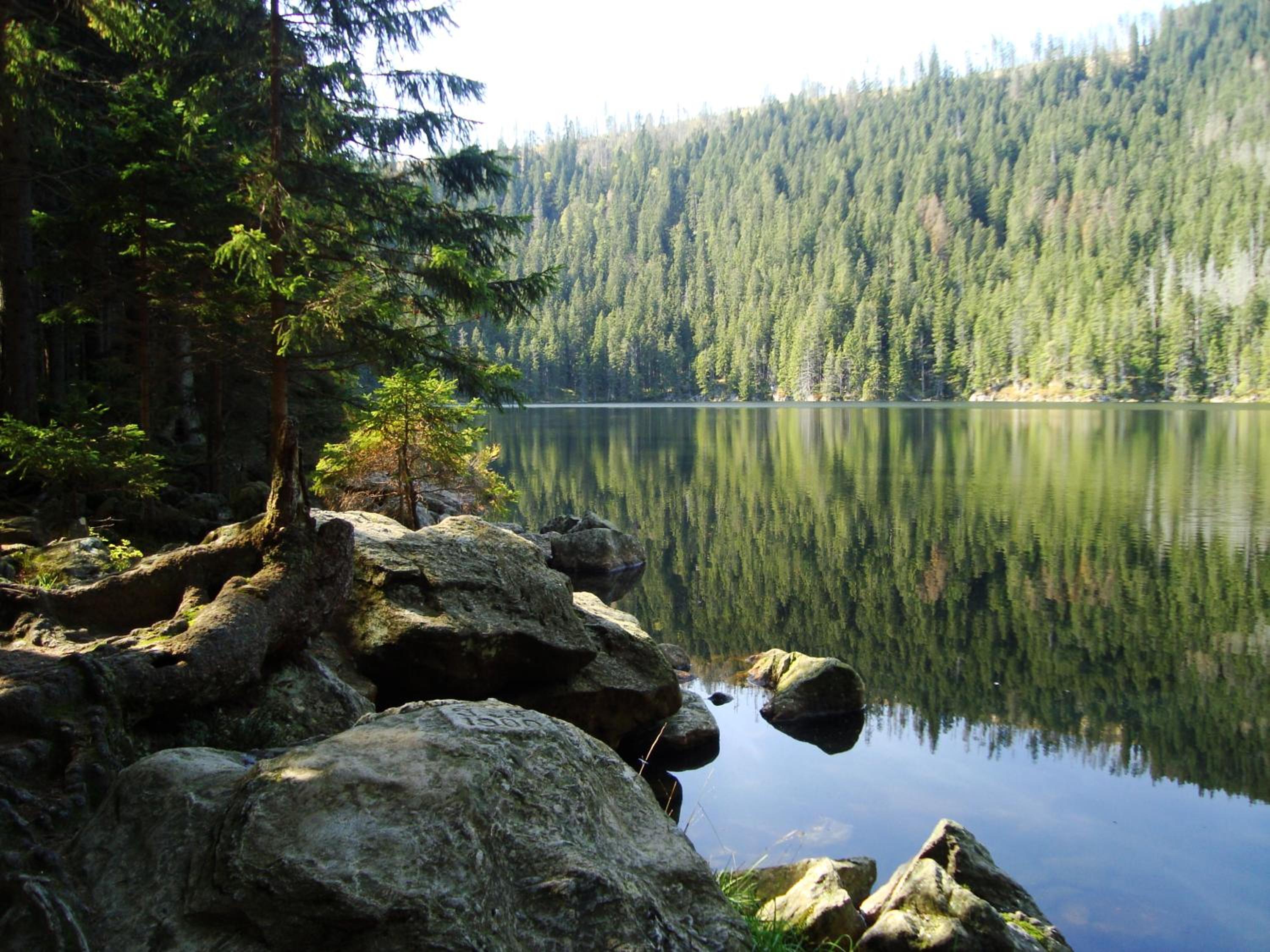 Penzion Alpský Dům