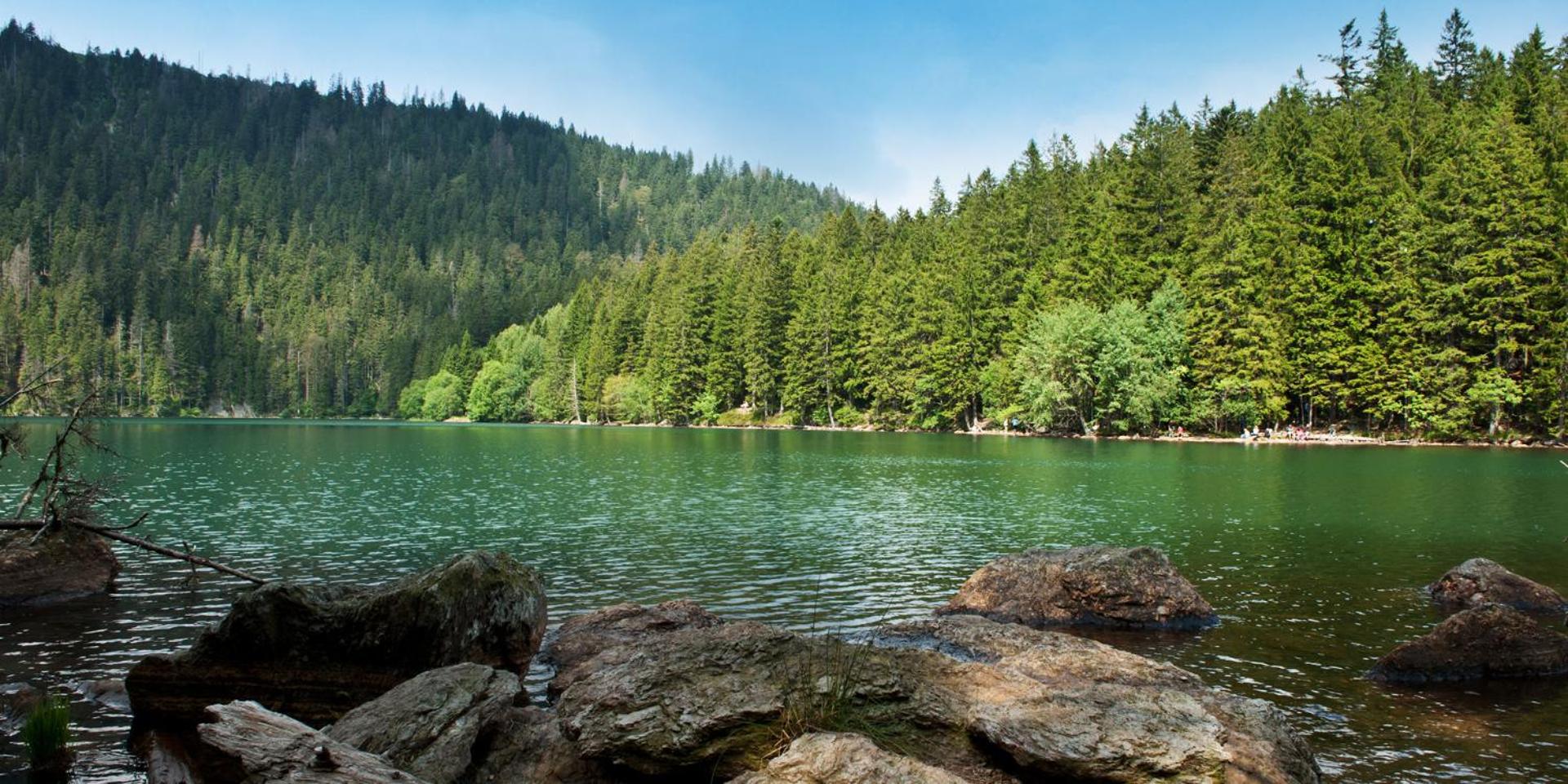 Penzion Alpský Dům