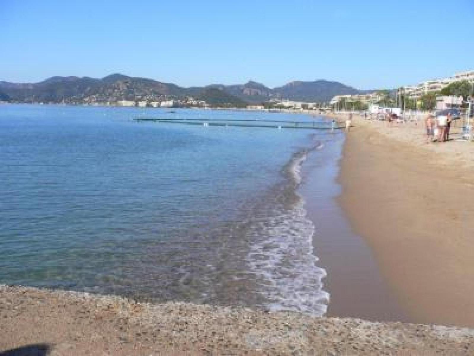 Stunning 2 Bed Apt on the seafront of Cannes in a high class secure building with swimming pool 463 view 5