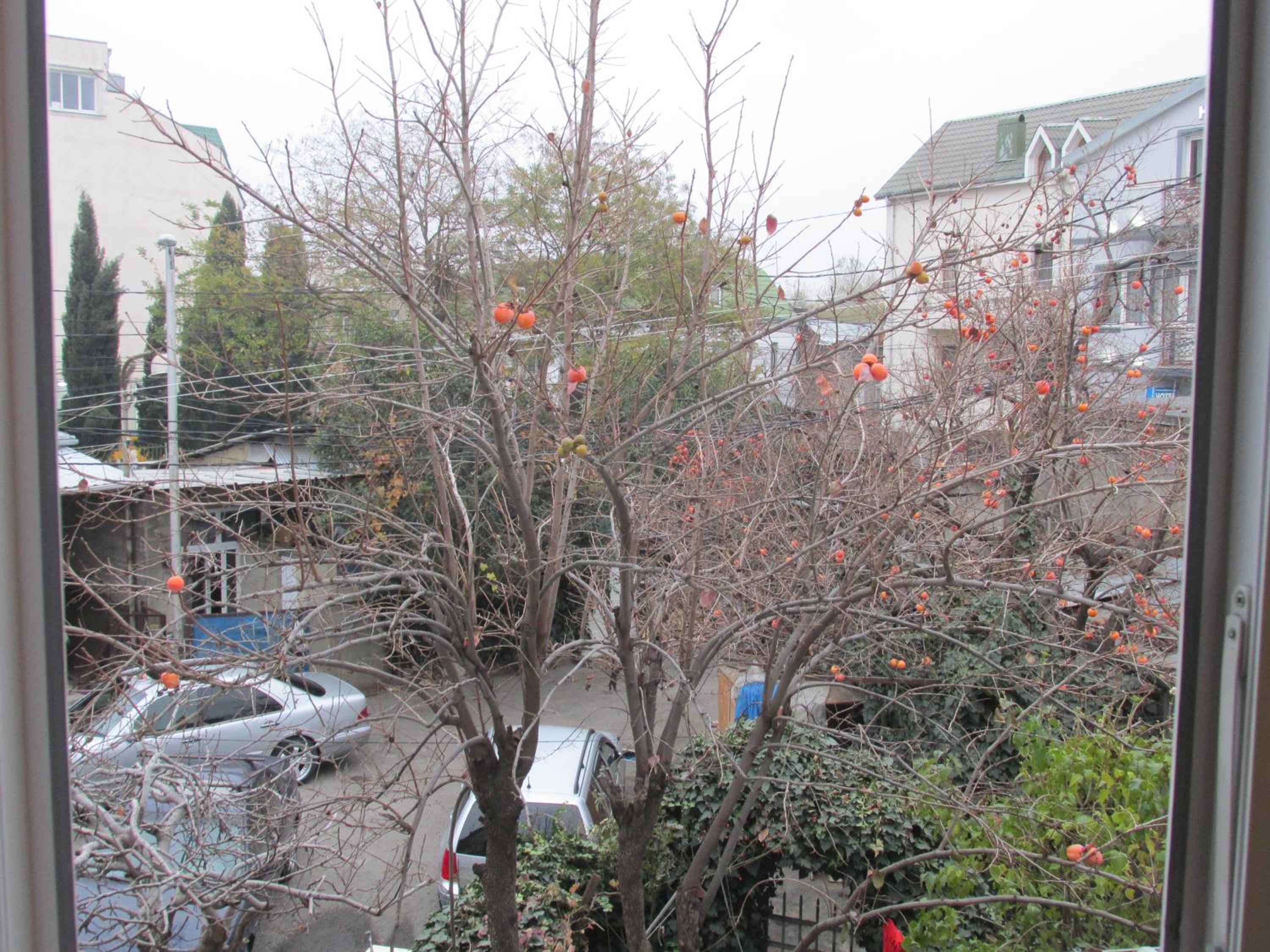 Photo 28