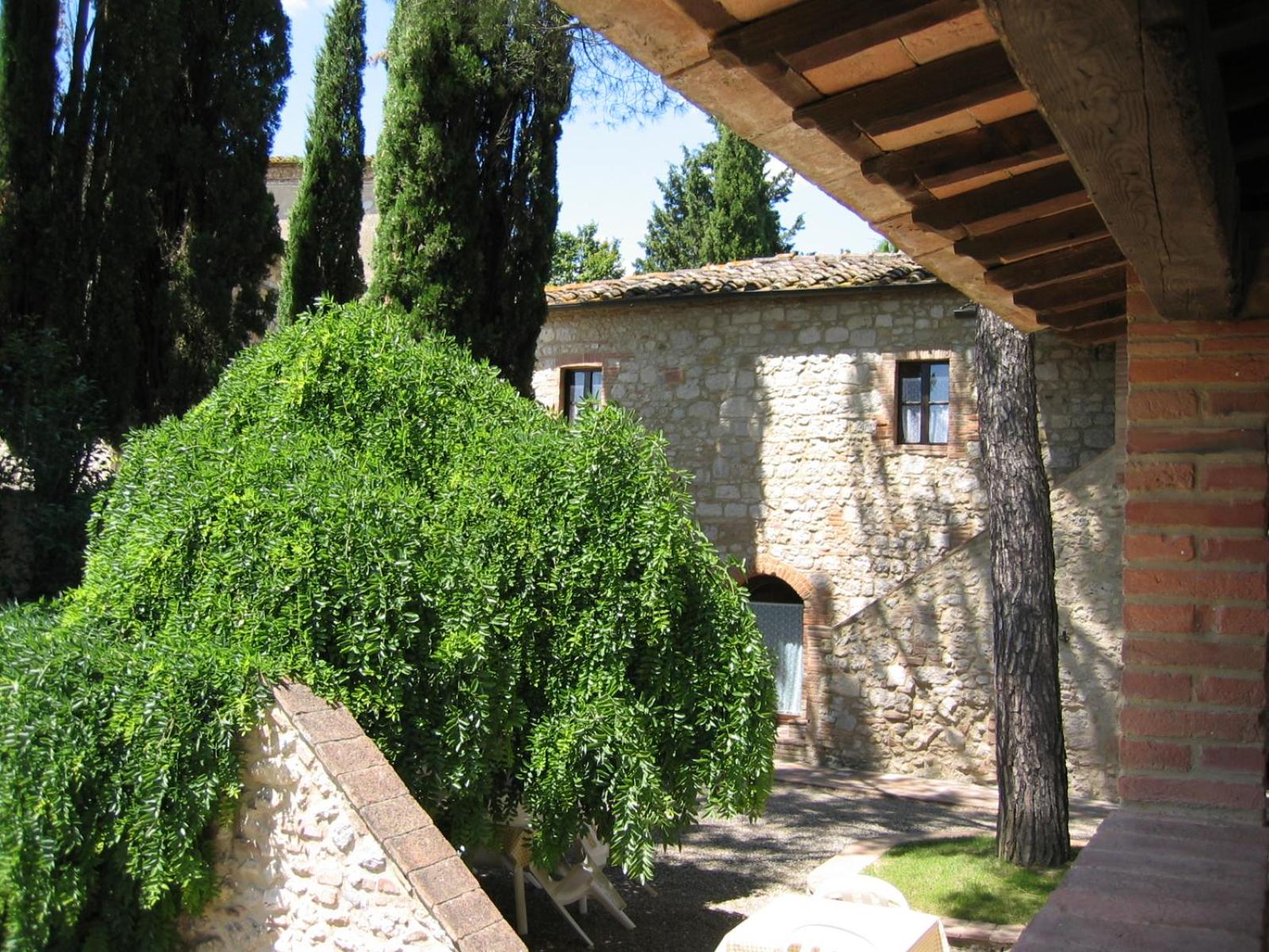 Photo 45
