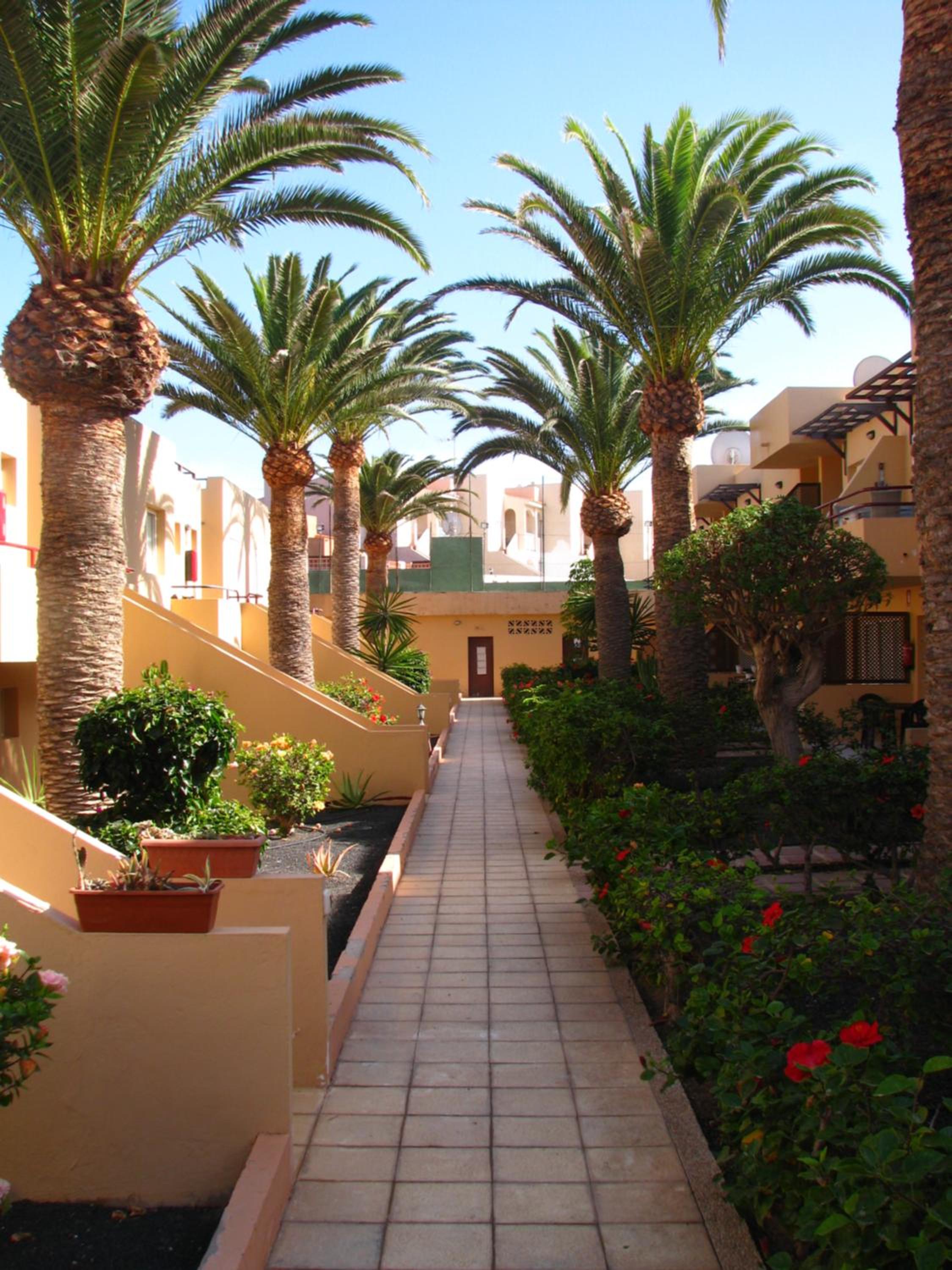 Luxury Cayetana, by Comfortable Luxury