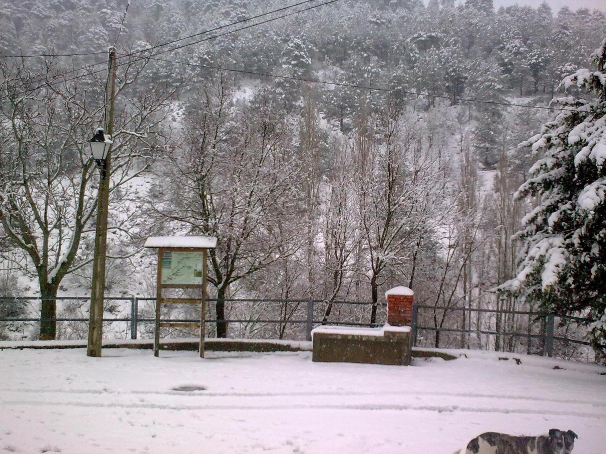 Photo 8