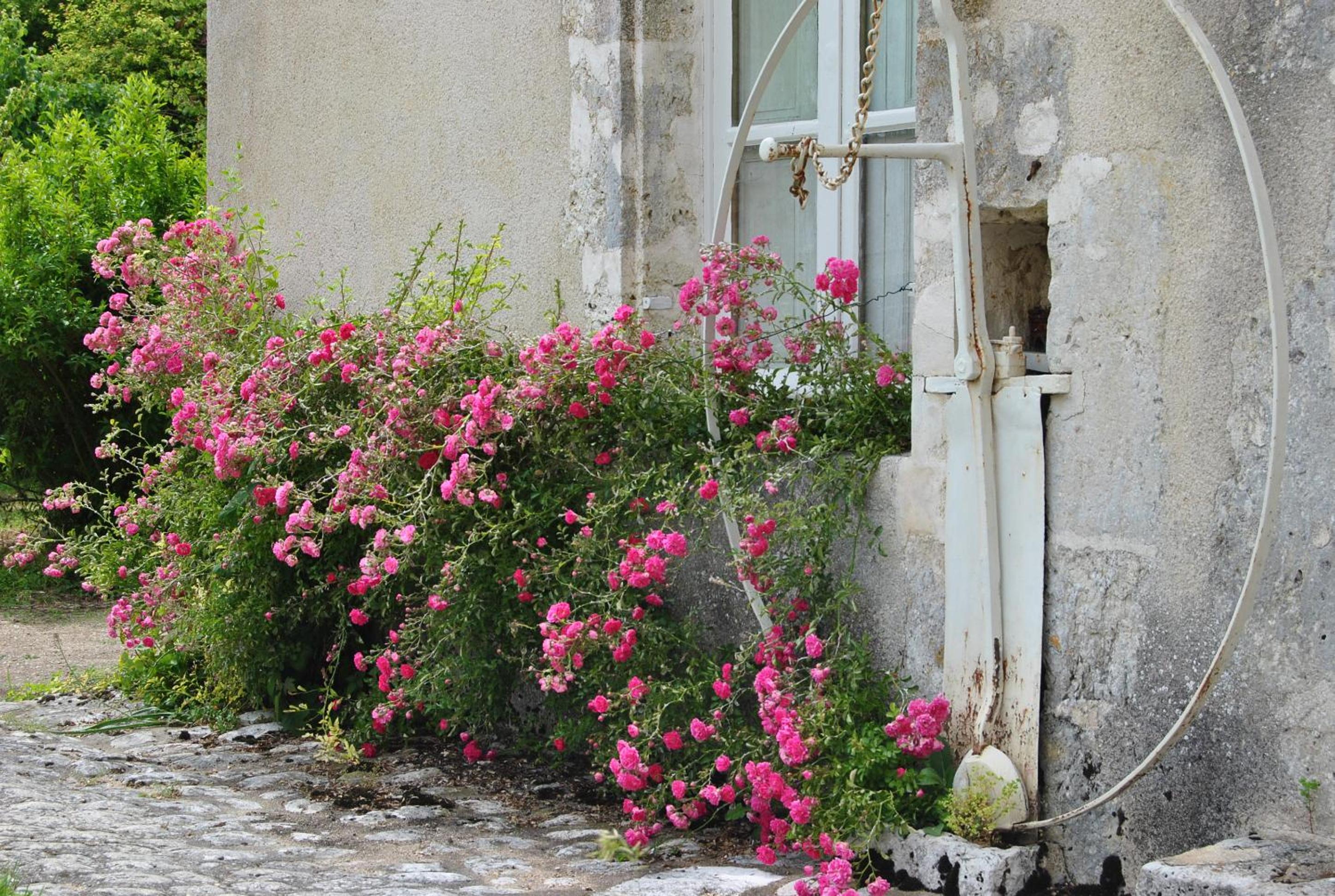 Chateau La Touanne Loire valley