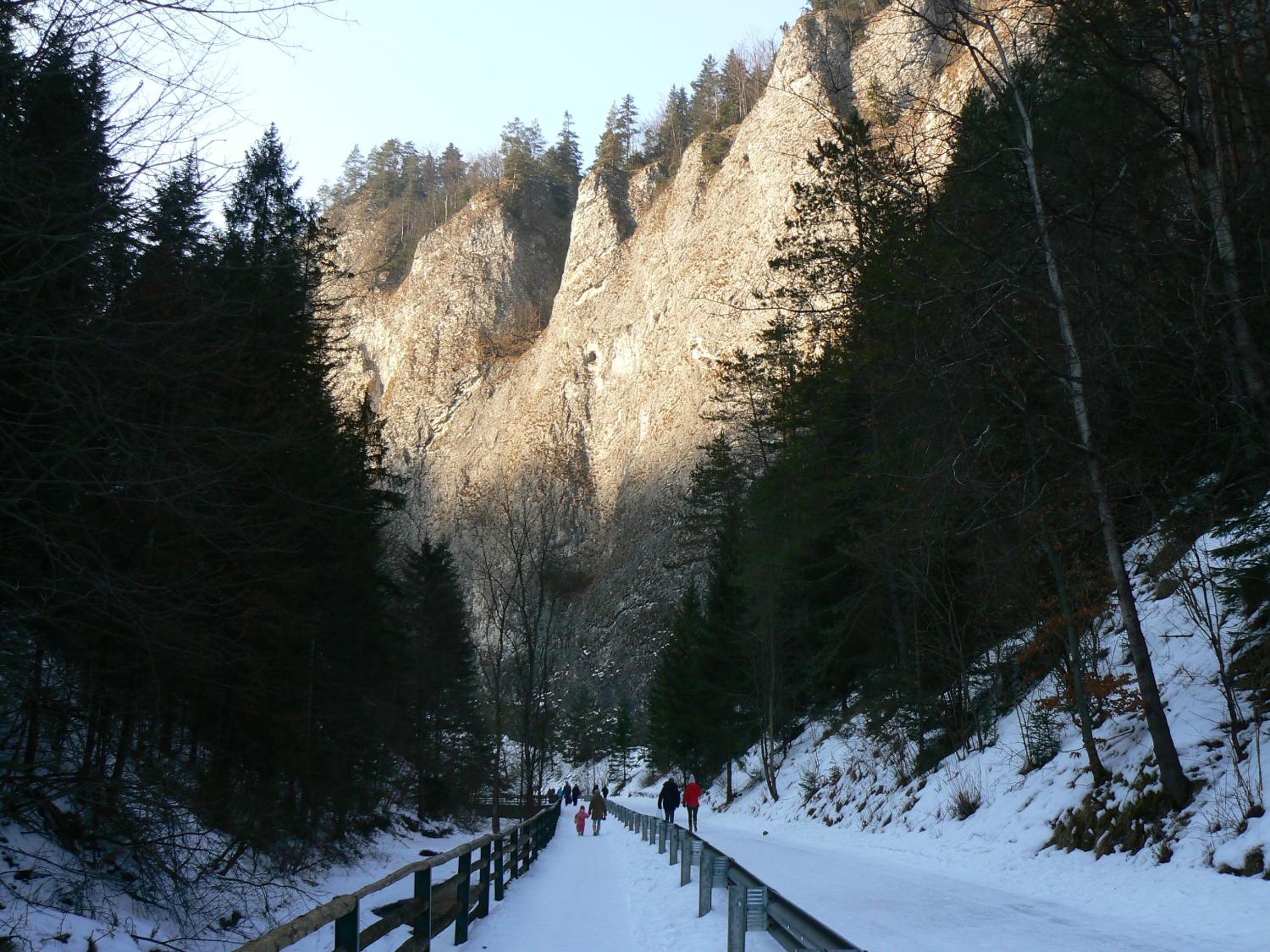 Photo 9