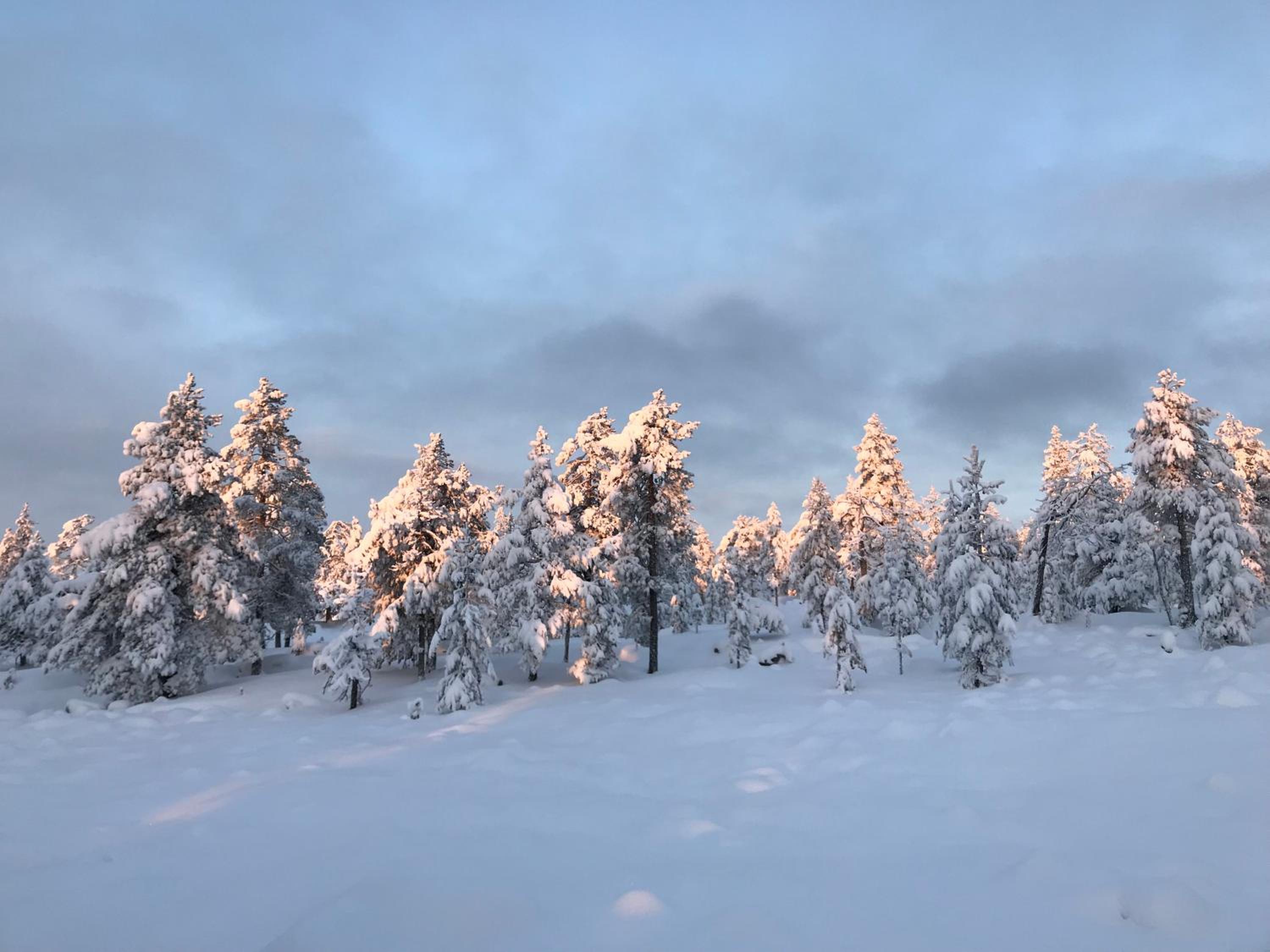 Sampo Studios view 4