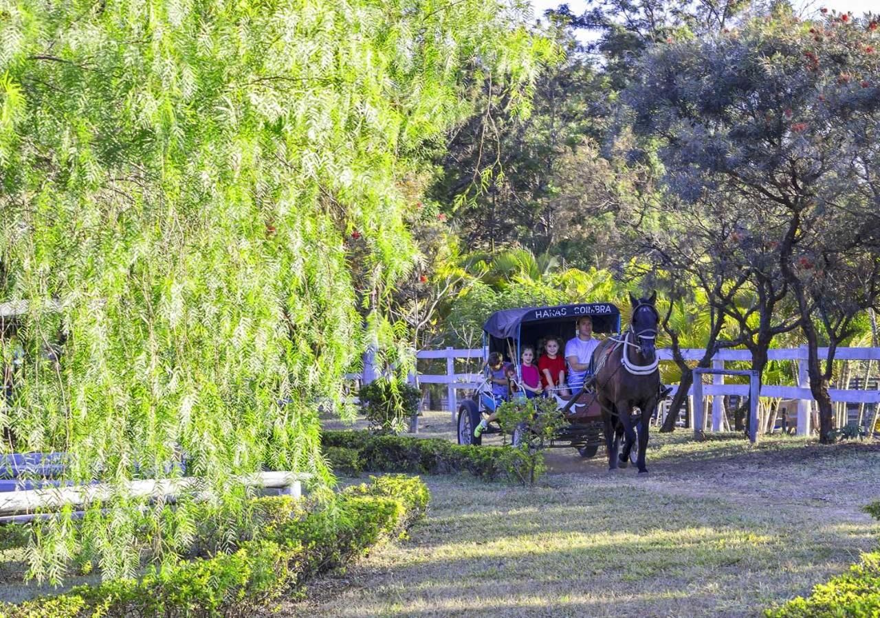 Brotas Eco Hotel Fazenda