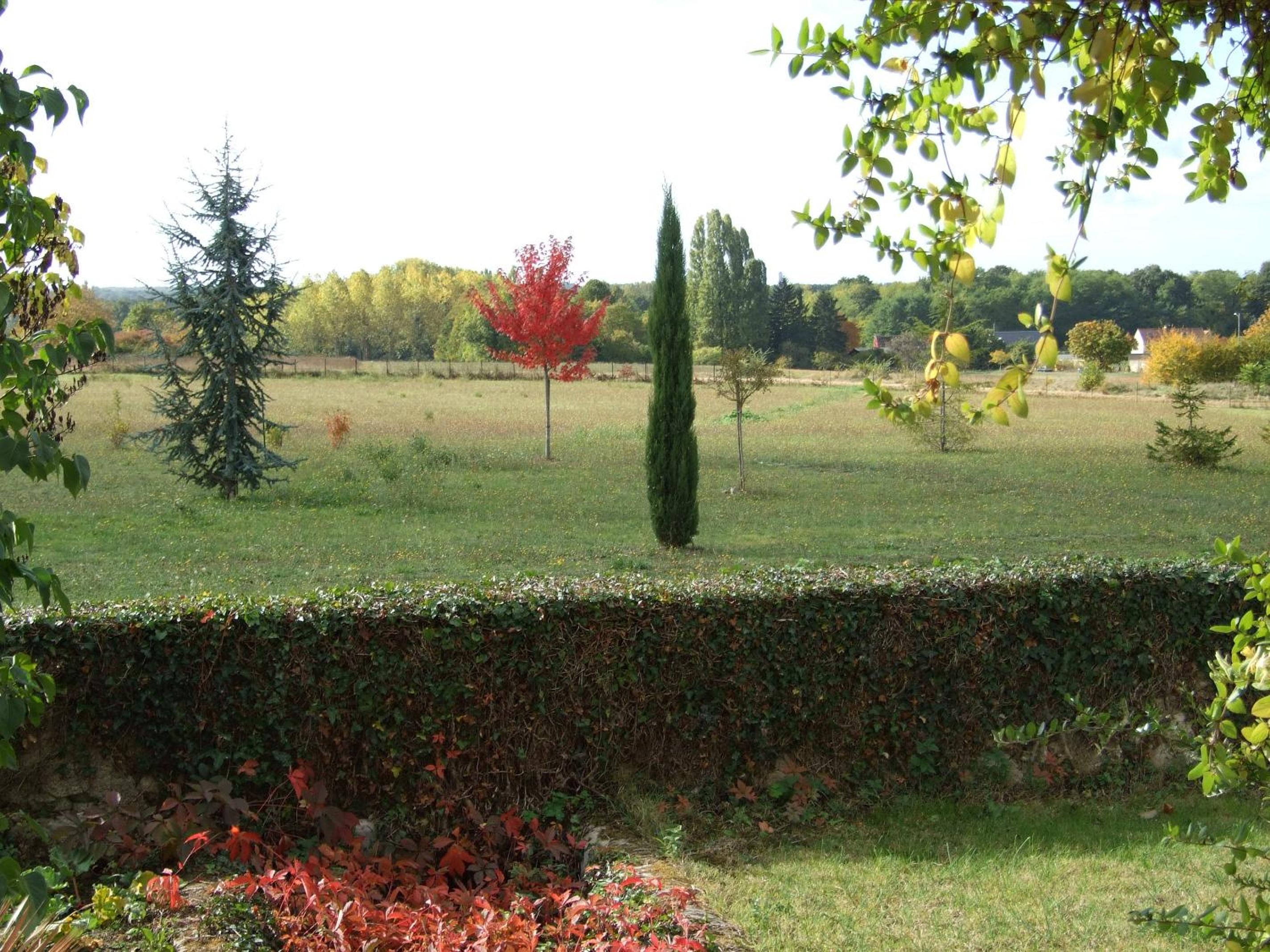 Photo 36